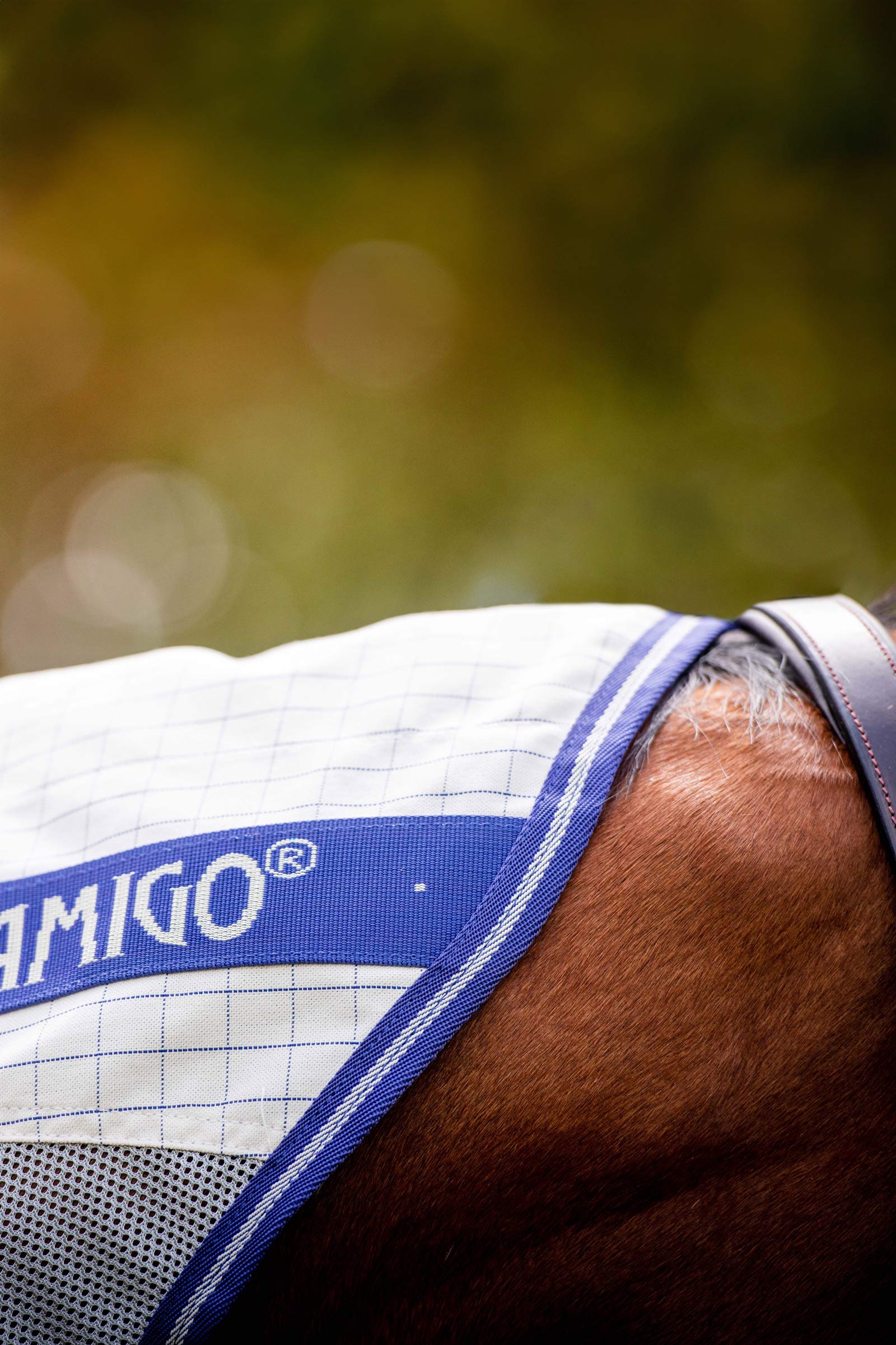 Horseware Amigo Airflow hy&ouml;nteisloimi irrotettavalla kaulaosalla