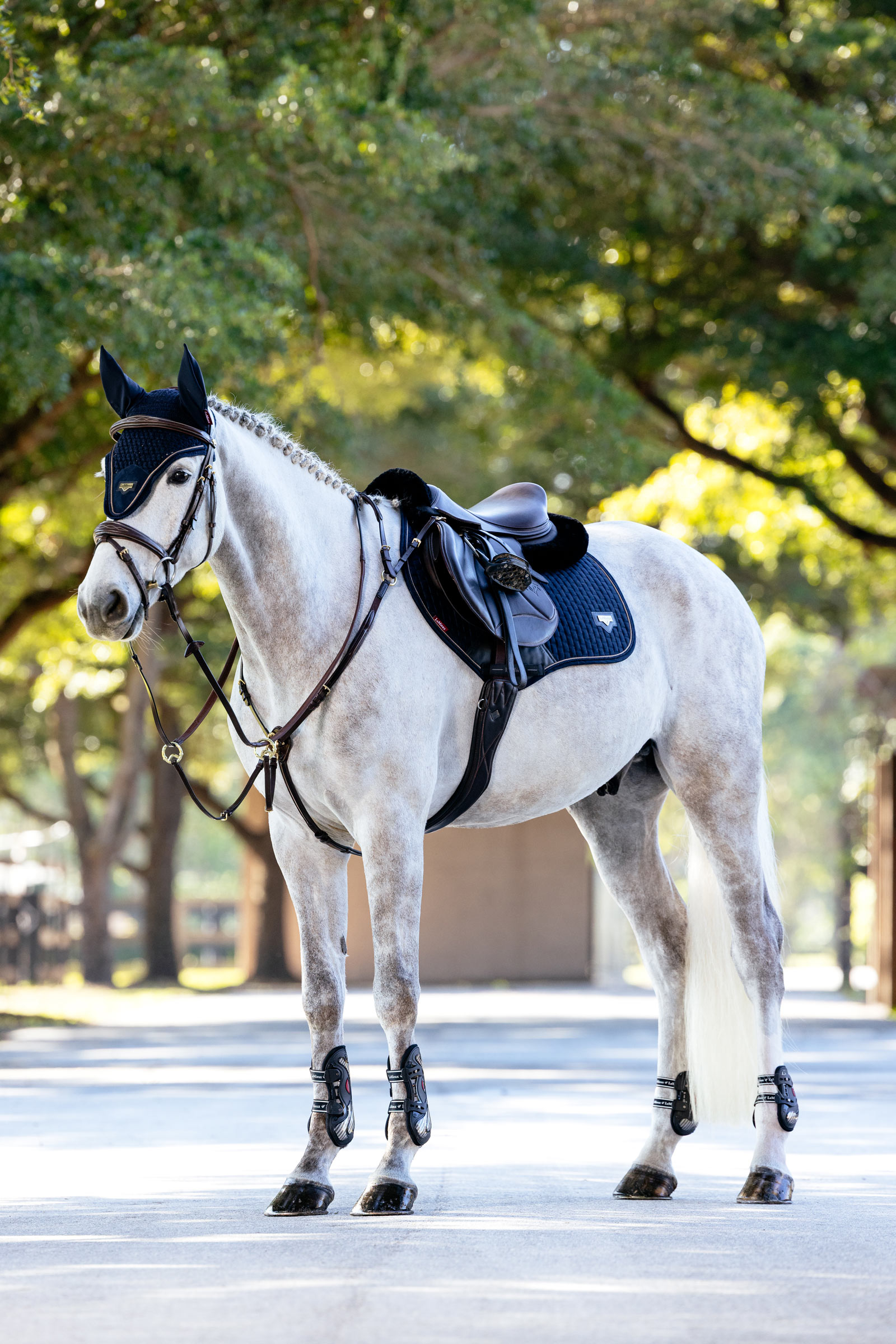 LeMieux Puissance Close Contact estesatulahuopa mokkajäljitelmästä