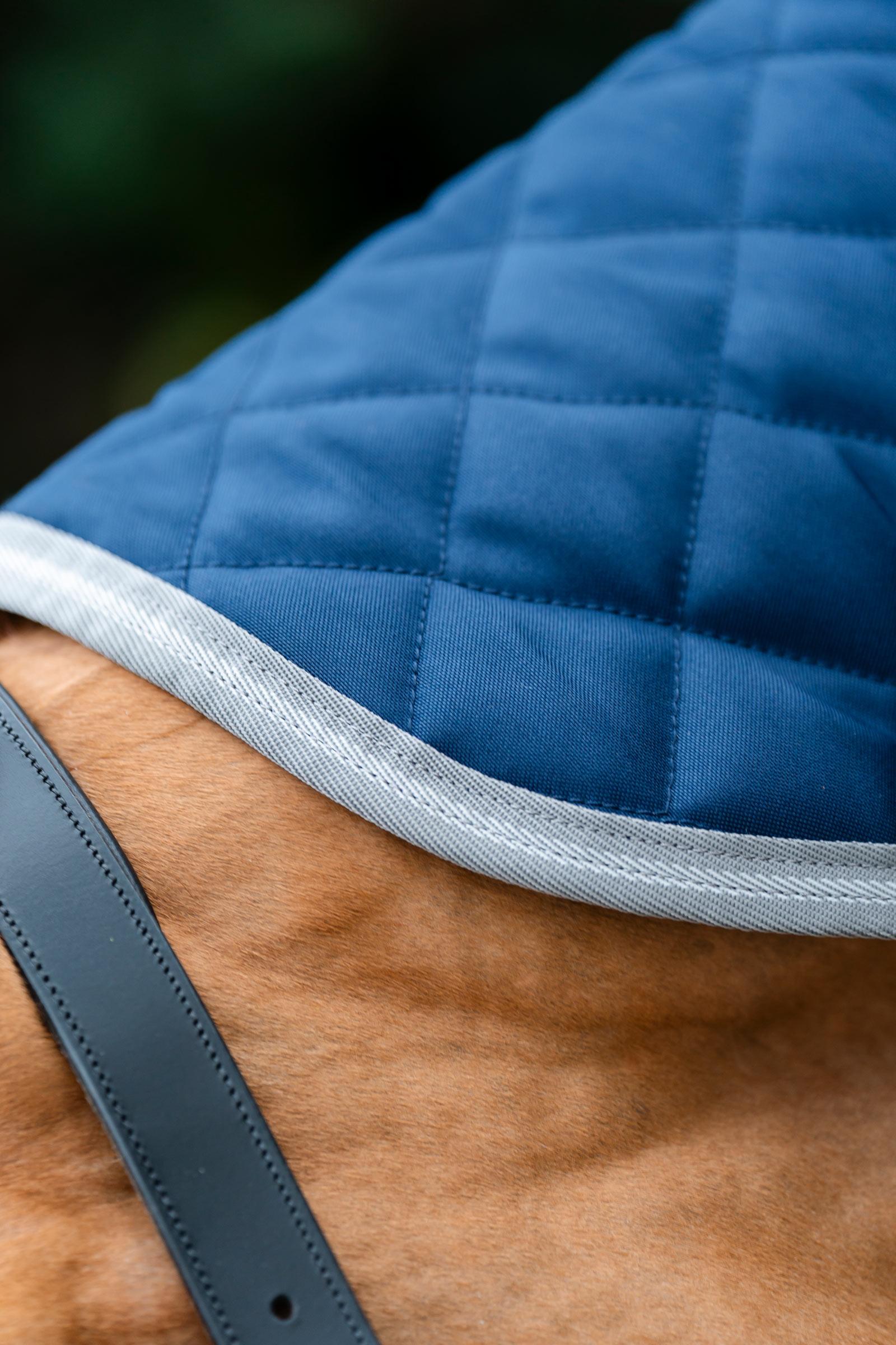 Horseware Amigo tikattu talliloimi Plus, 200 g