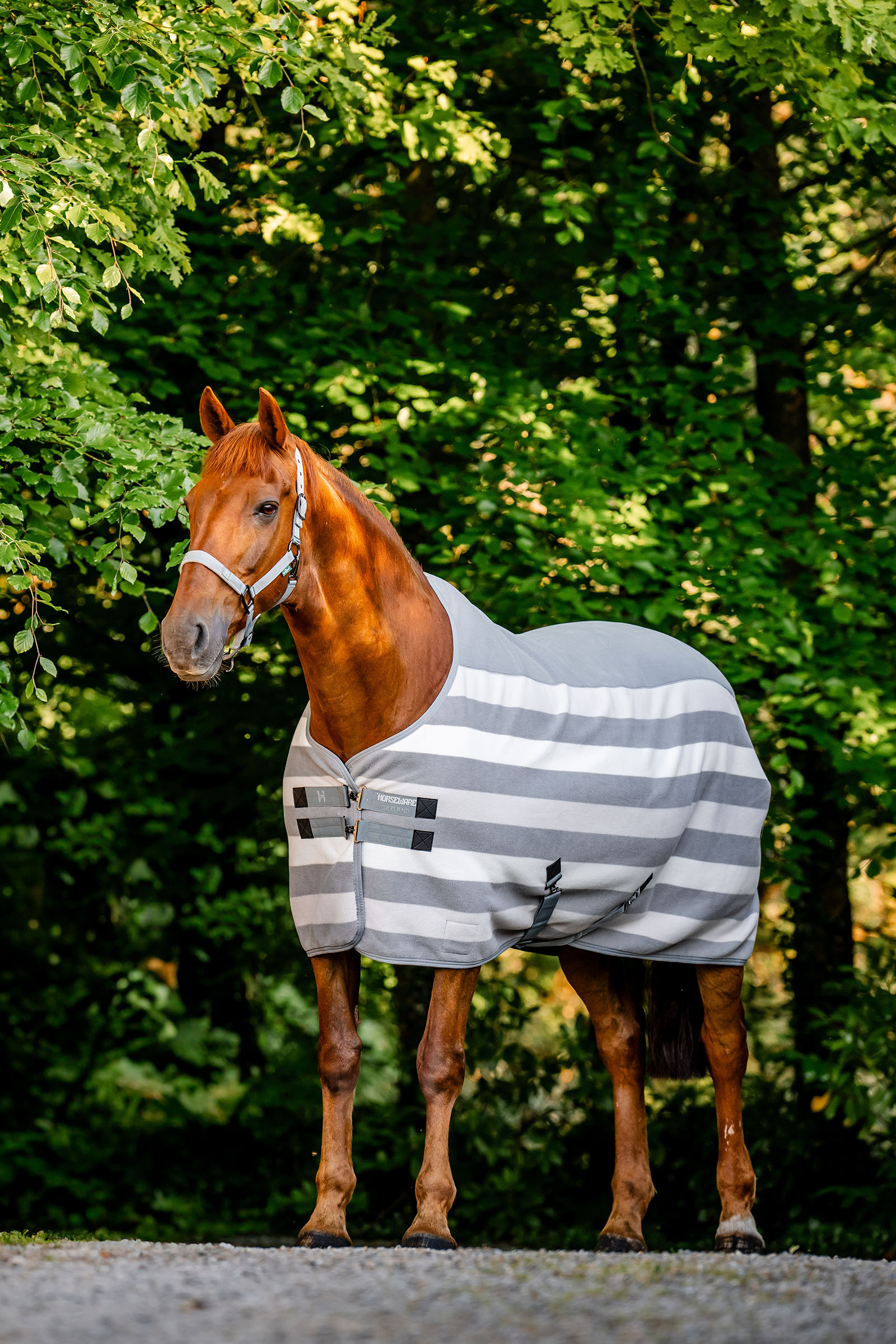 Horseware Newmarket Fleece Kuivatusloimet