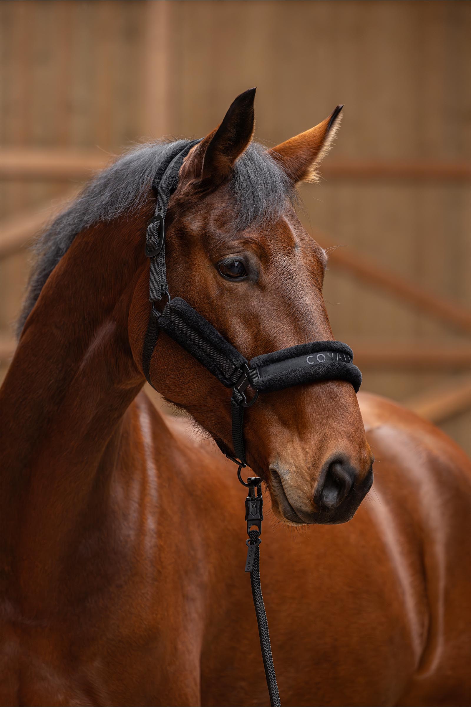 Covalliero Pehmustettu Riimu