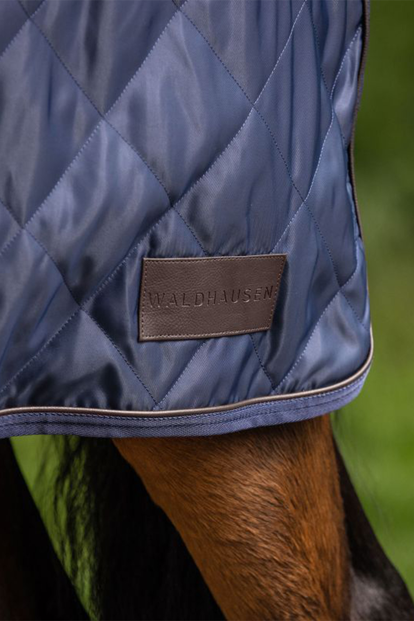 Waldhausen Exclusive johtoliina peitto, 50g