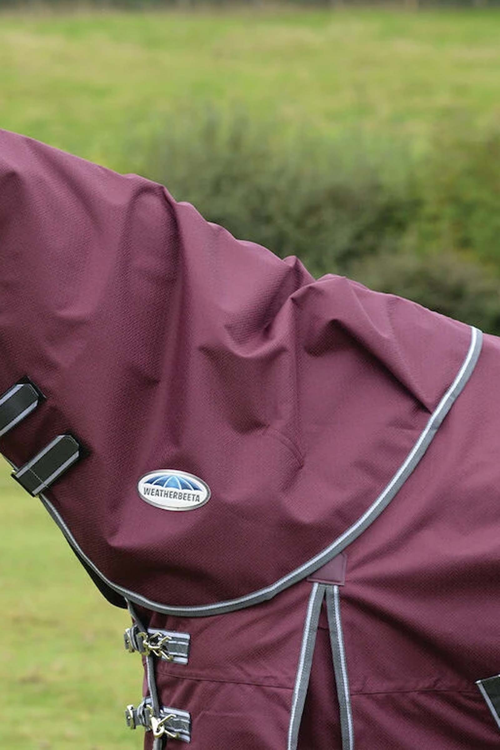 Weatherbeeta Comfitec Plus Dynamic II kaula Lite, 0g