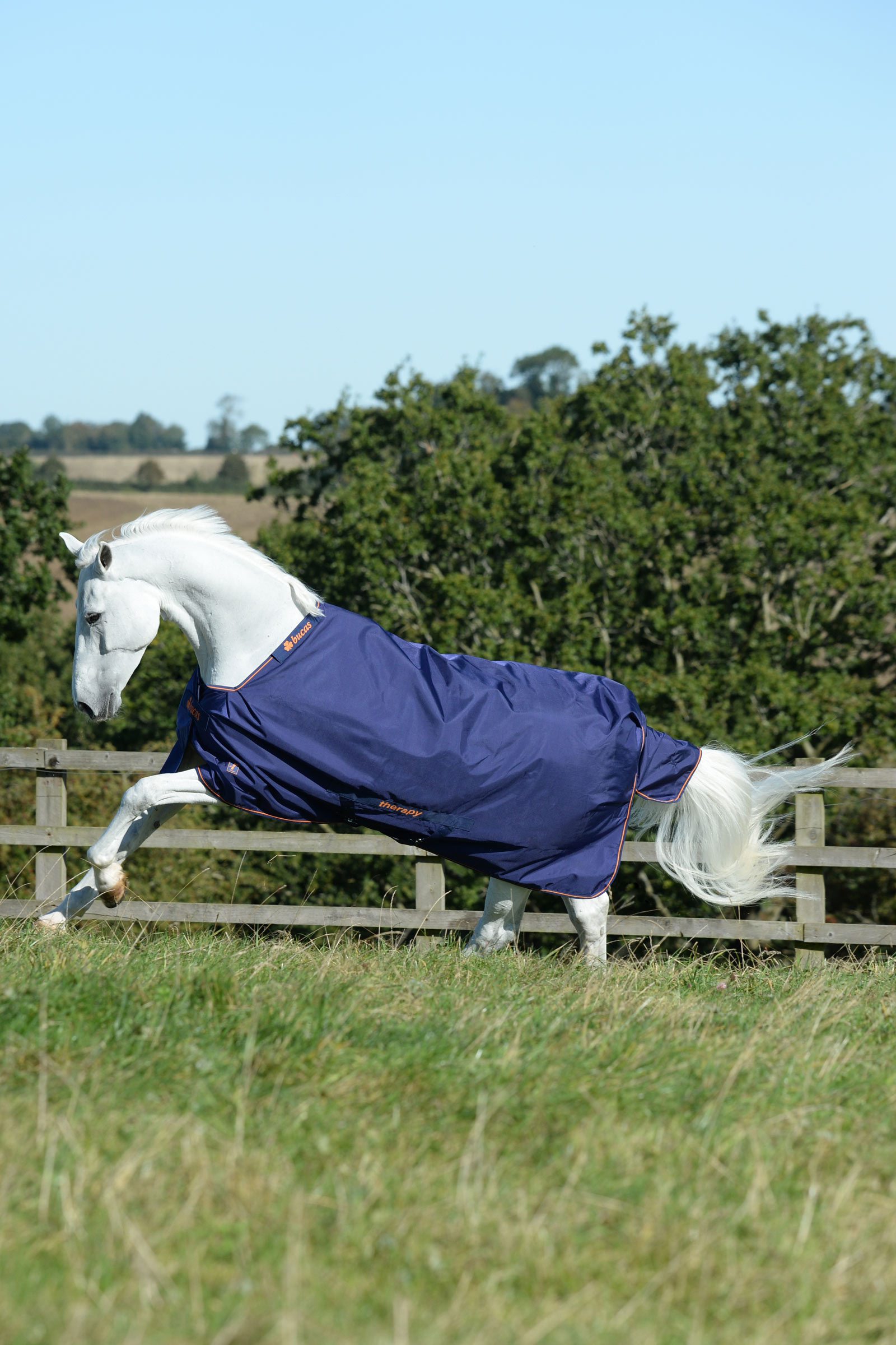 Bucas Therapy kevyt ulkoloimi, 50g