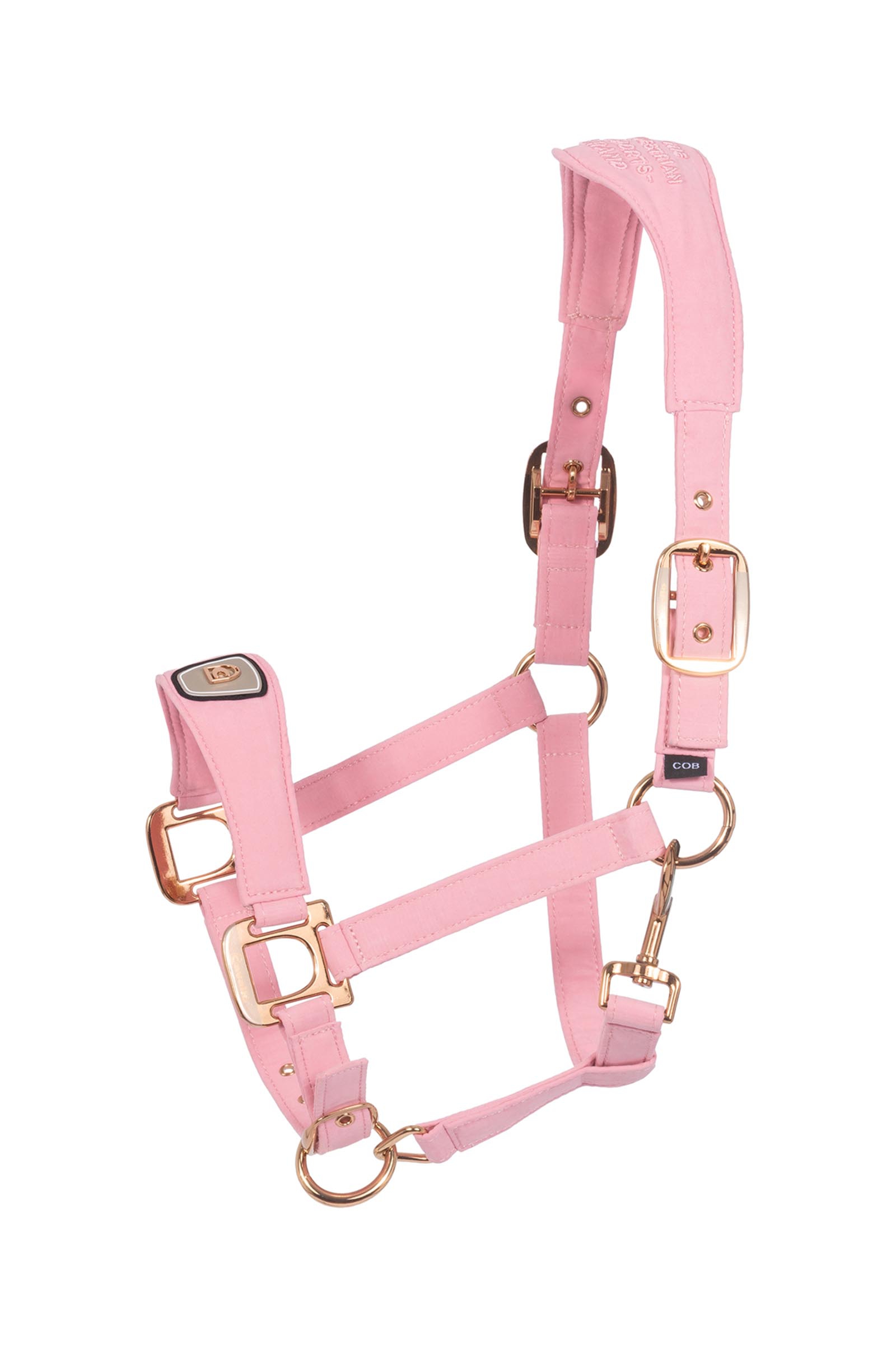 Powder Pink Cavallo CAVALPAWEL riimu