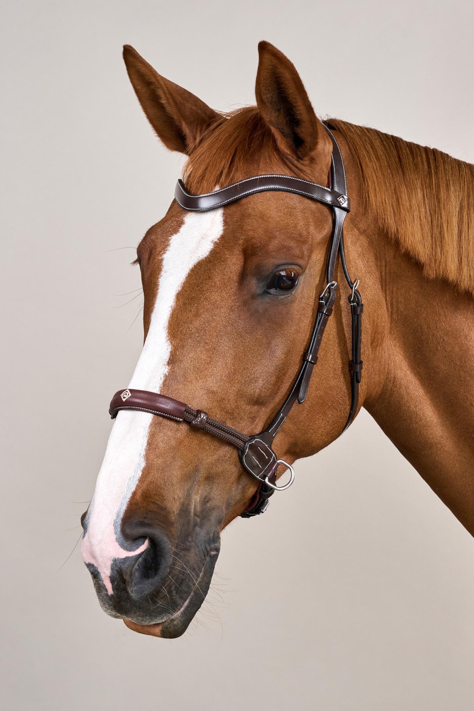 Dy'on Working kuolaimeton suitset  