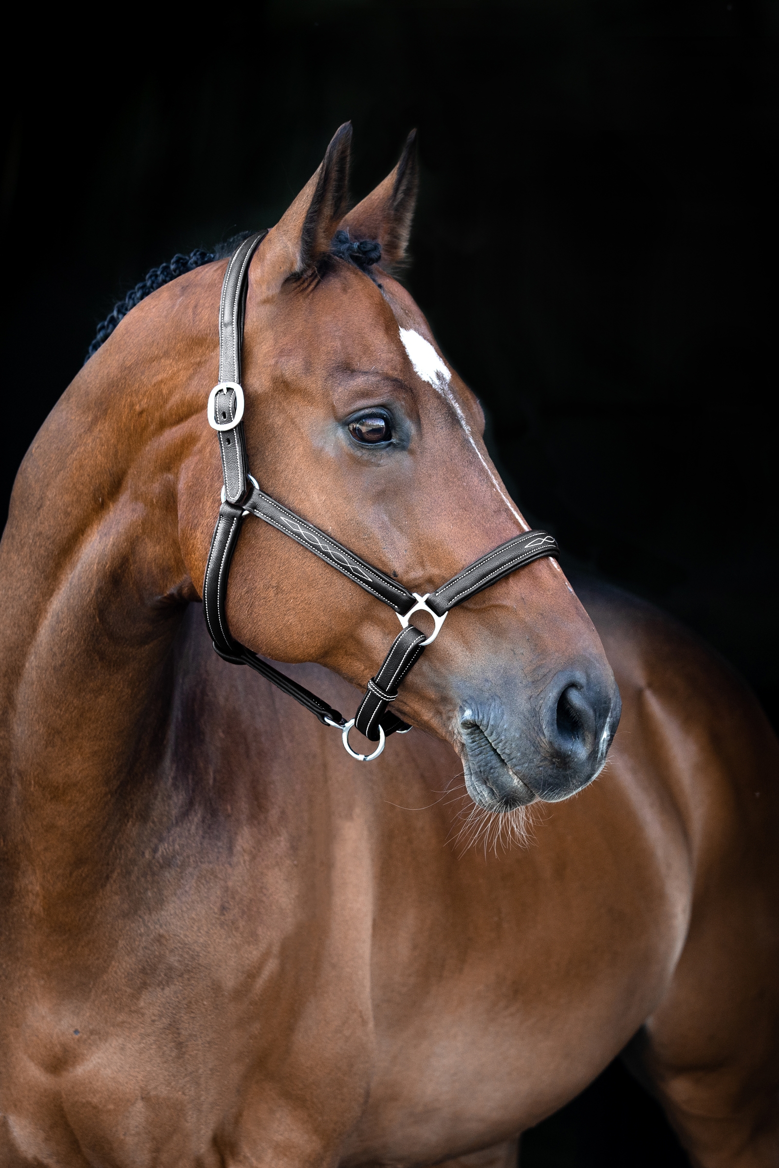 Horze Warren pehme&auml; nahkariimu