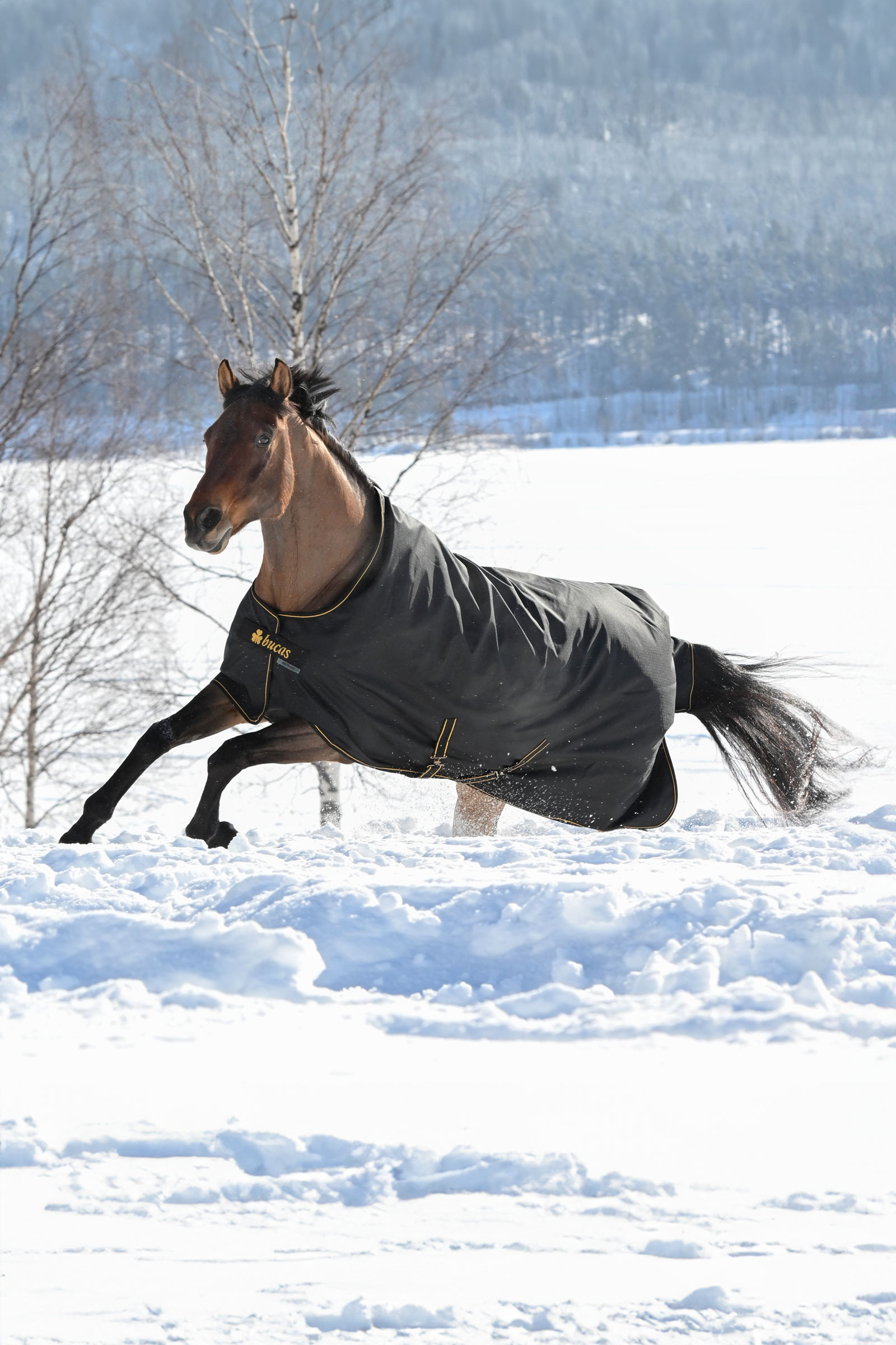 Bucas Irish ulkoloimi, 300g