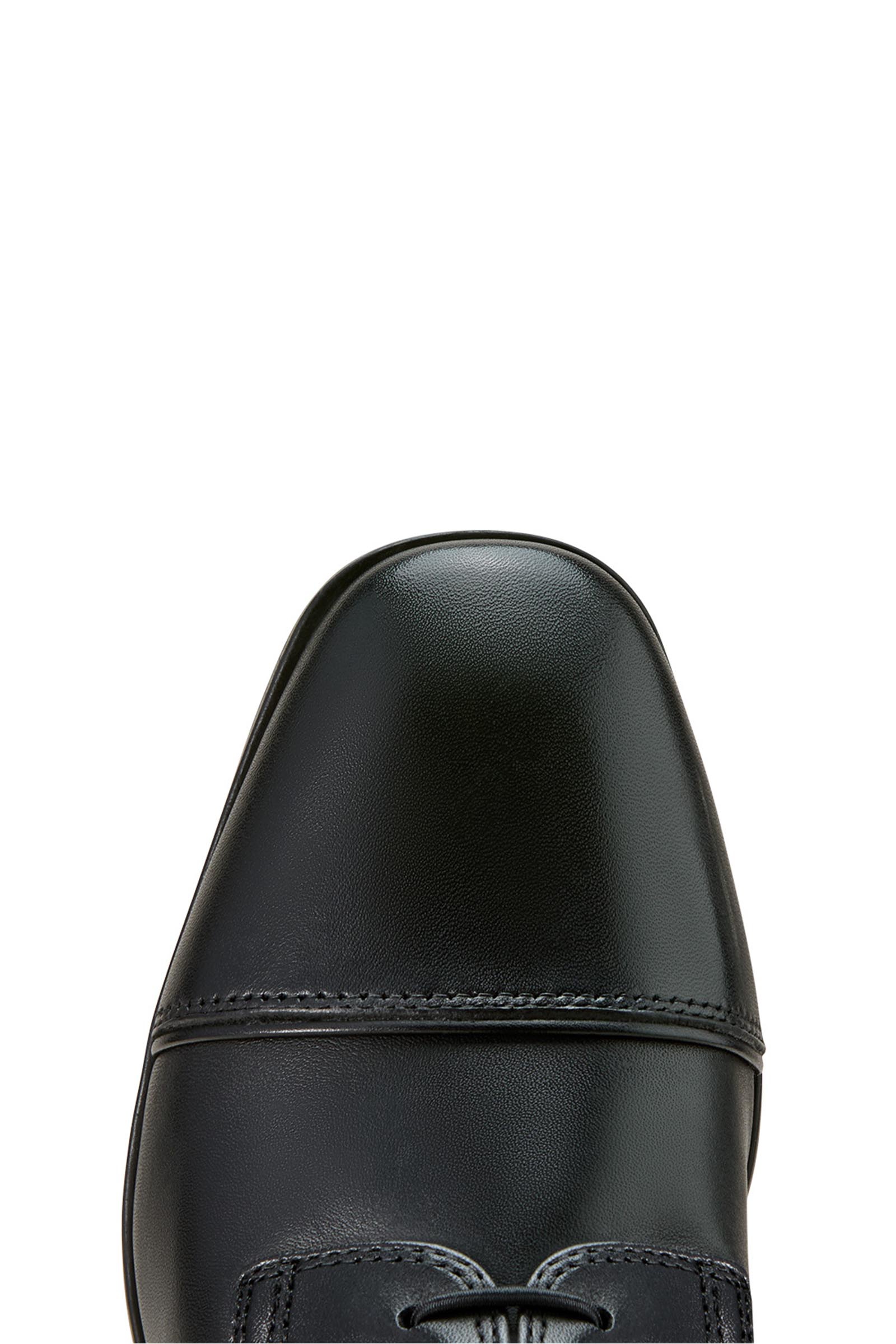 Ariat Palisade Lace naisten korkeat ratsastussaappaat nauhoituksella