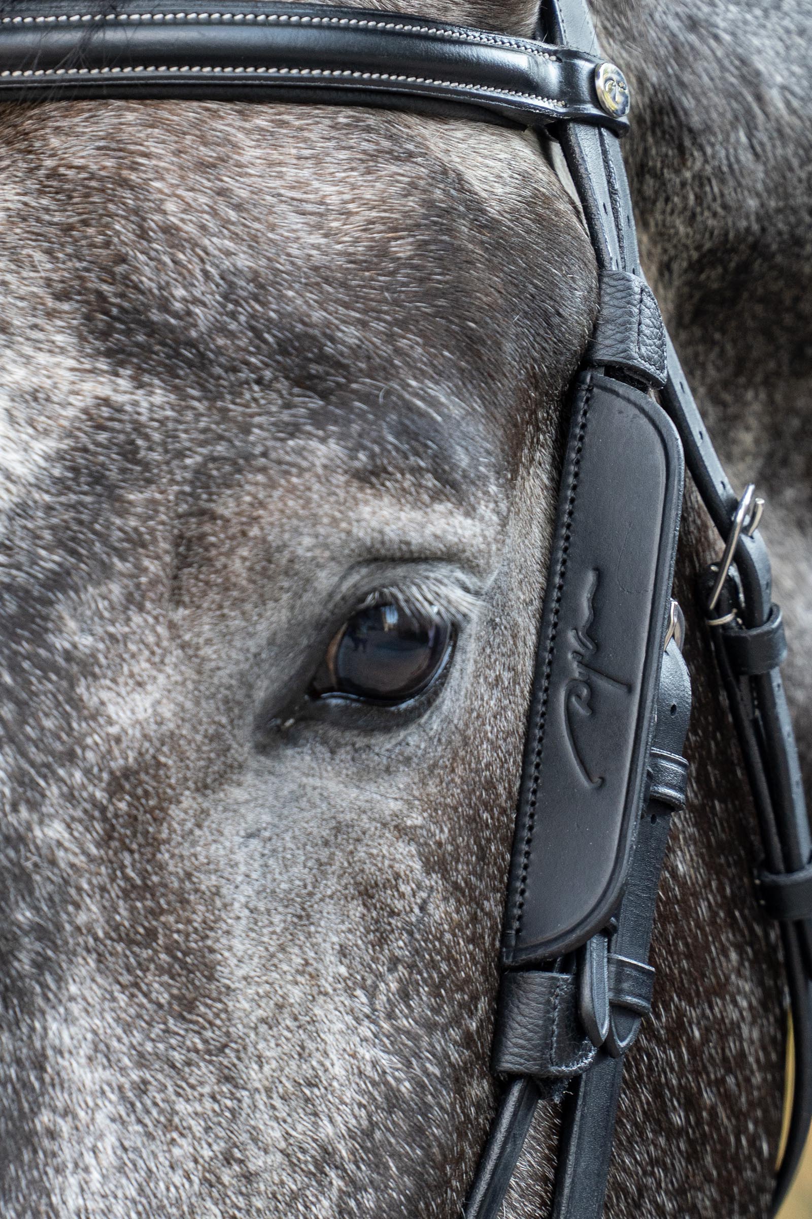 Dy'on Working minisilmäläpät