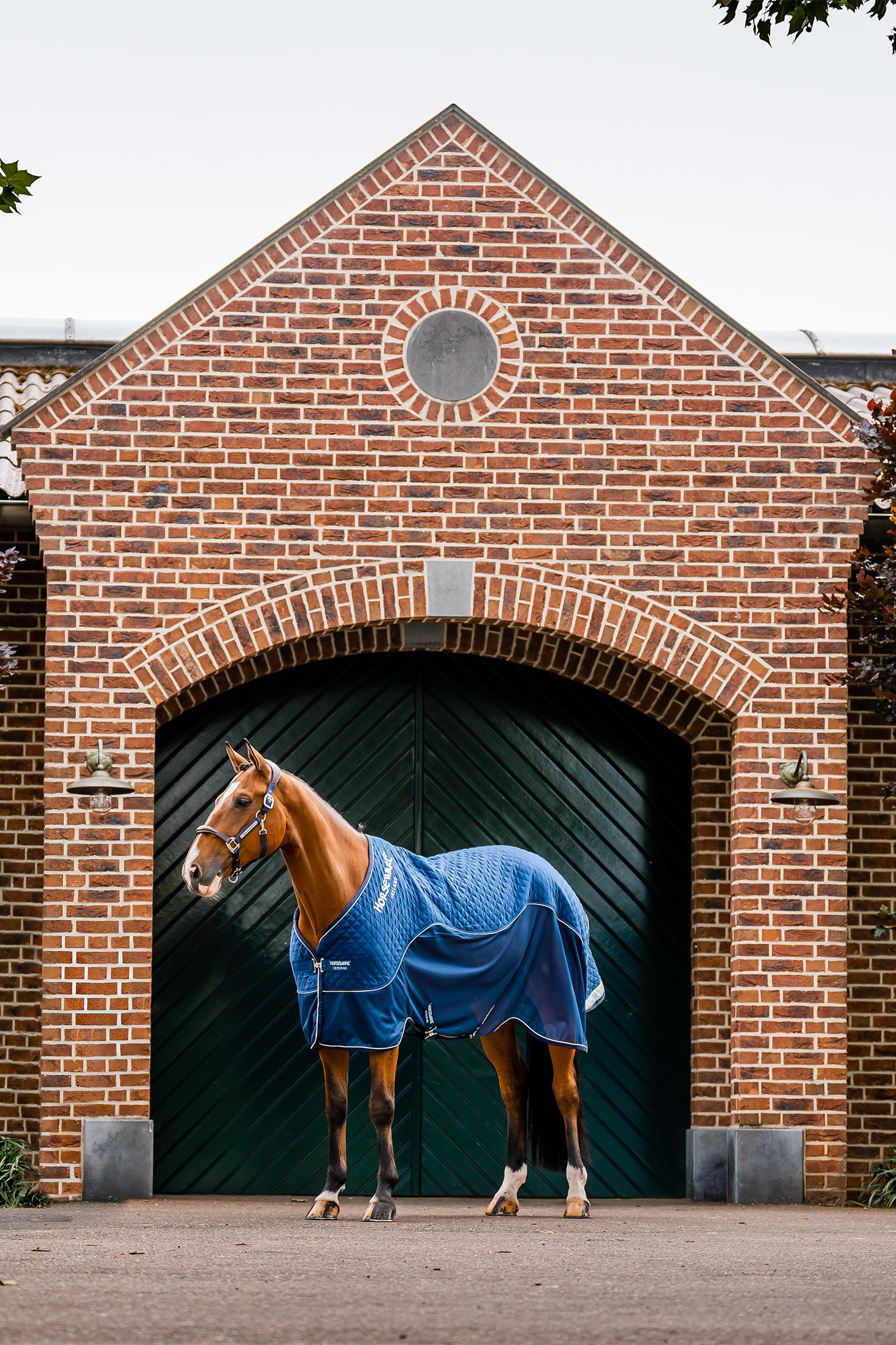 Horseware Signature Kuljetuspeitto, 50g