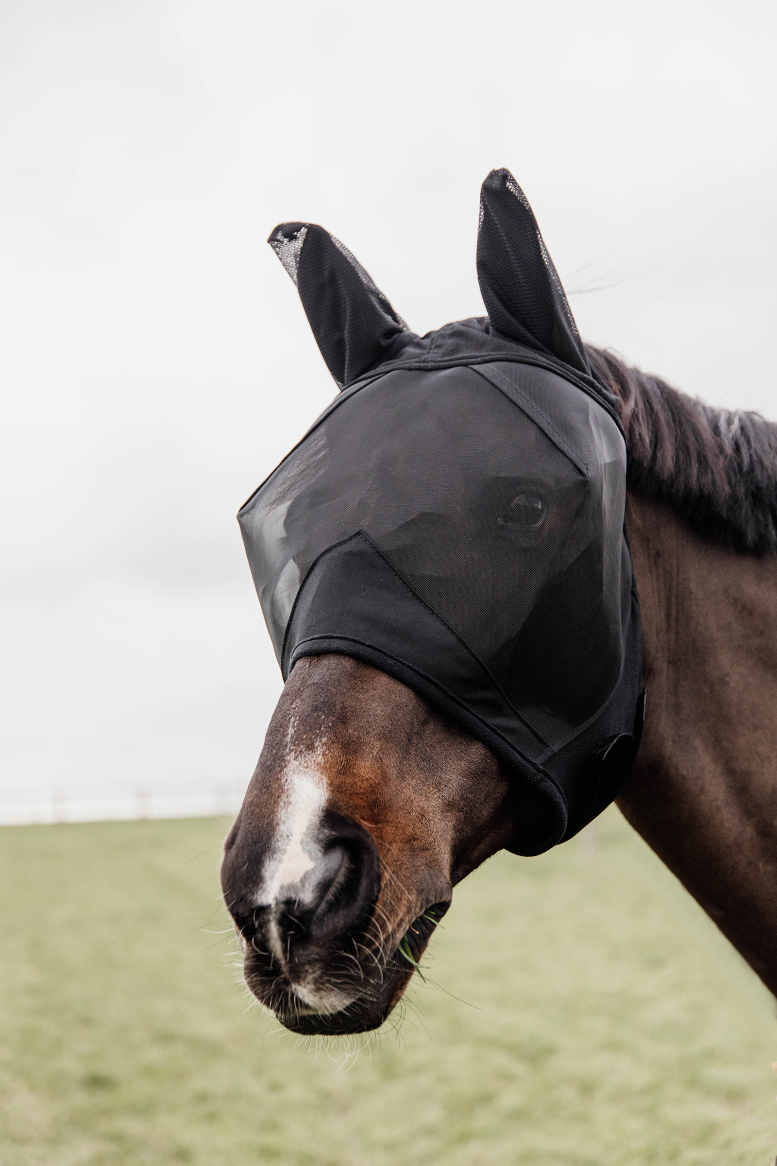 Kentucky Horsewear Classic kärpäsmaski korvilla