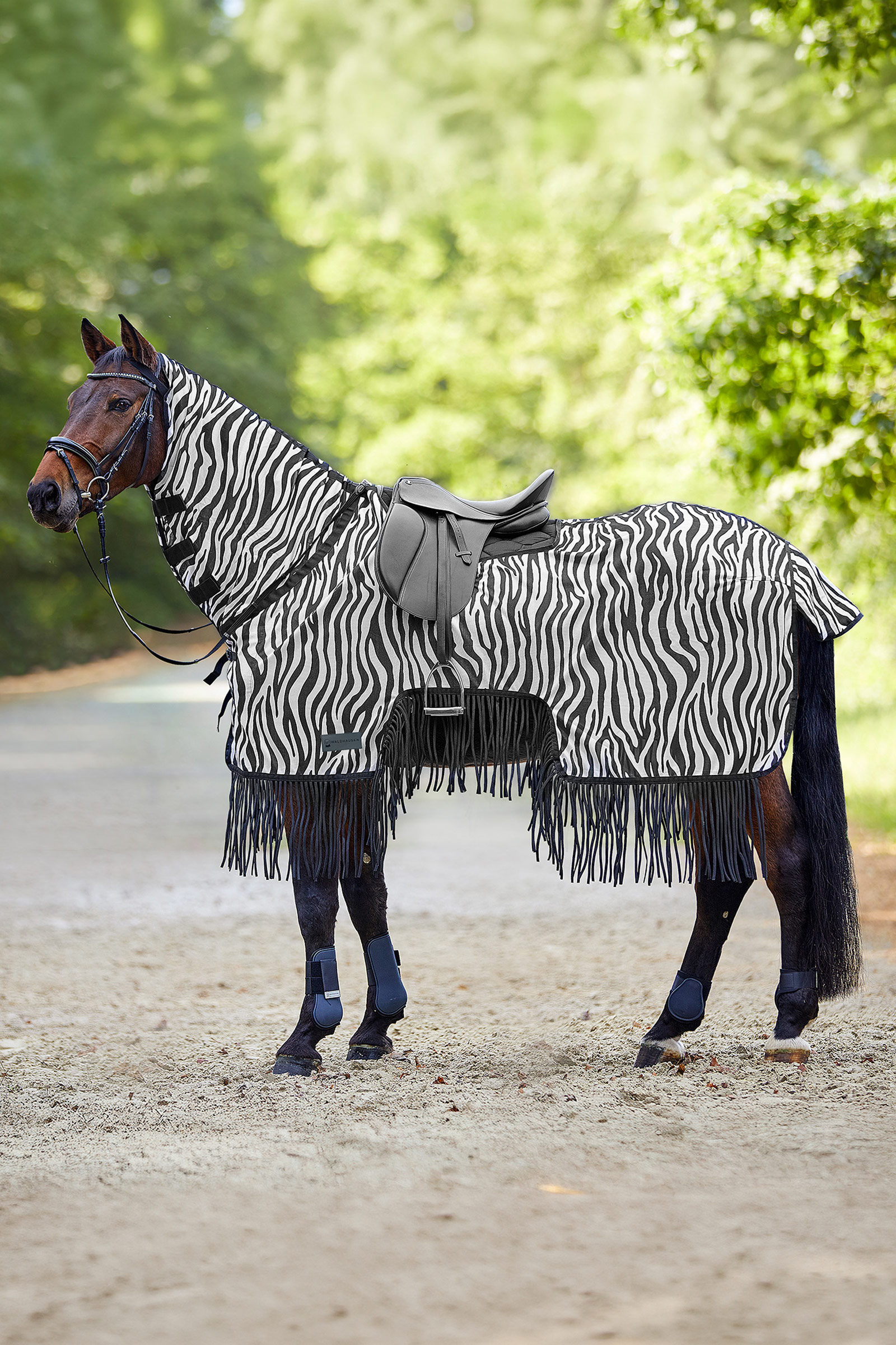 Waldhausen Zebra k&auml;rp&auml;sloimi satulaleikkauksella ja hapsuilla, UV-suoja