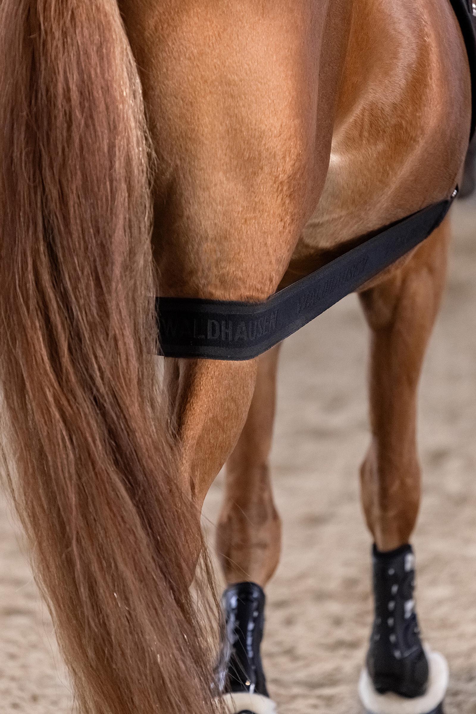 Waldhausen body side aktivointiside