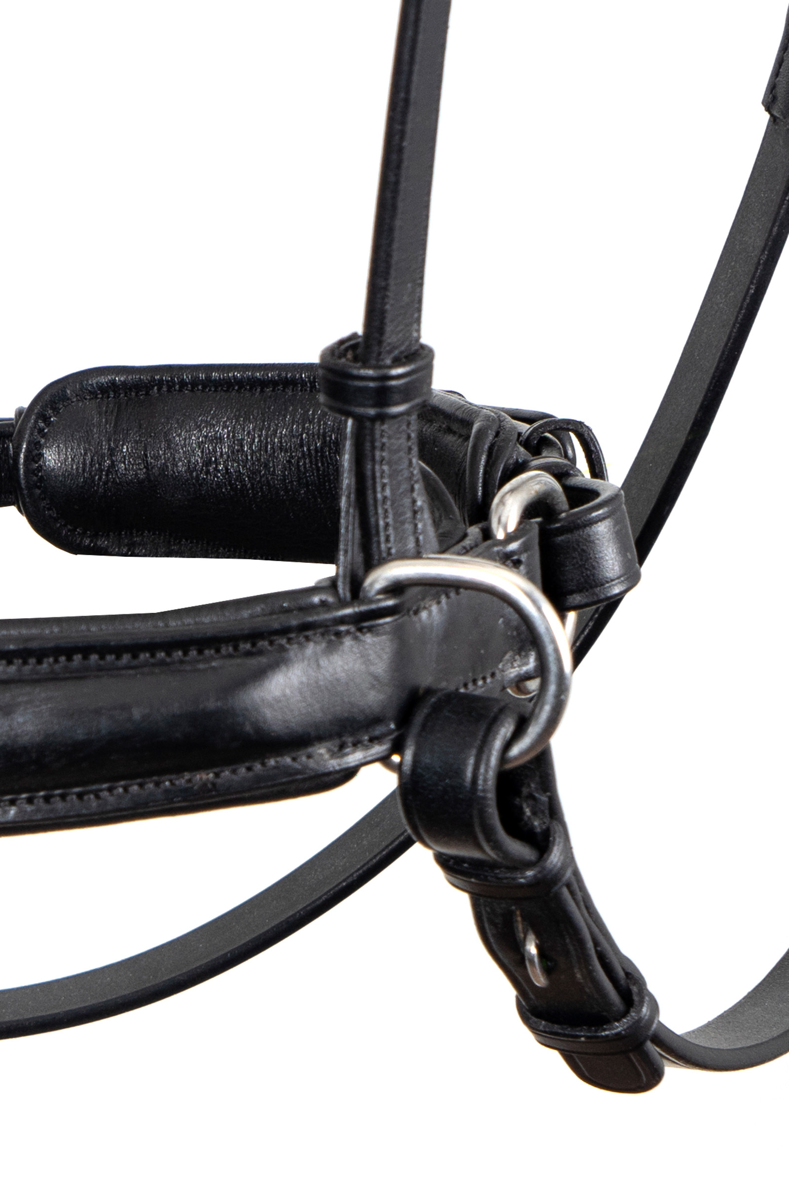 F.R.A. Freedom Riding Articles Alizée Mistral kuolaimettomat suitset ohjilla (System 3)