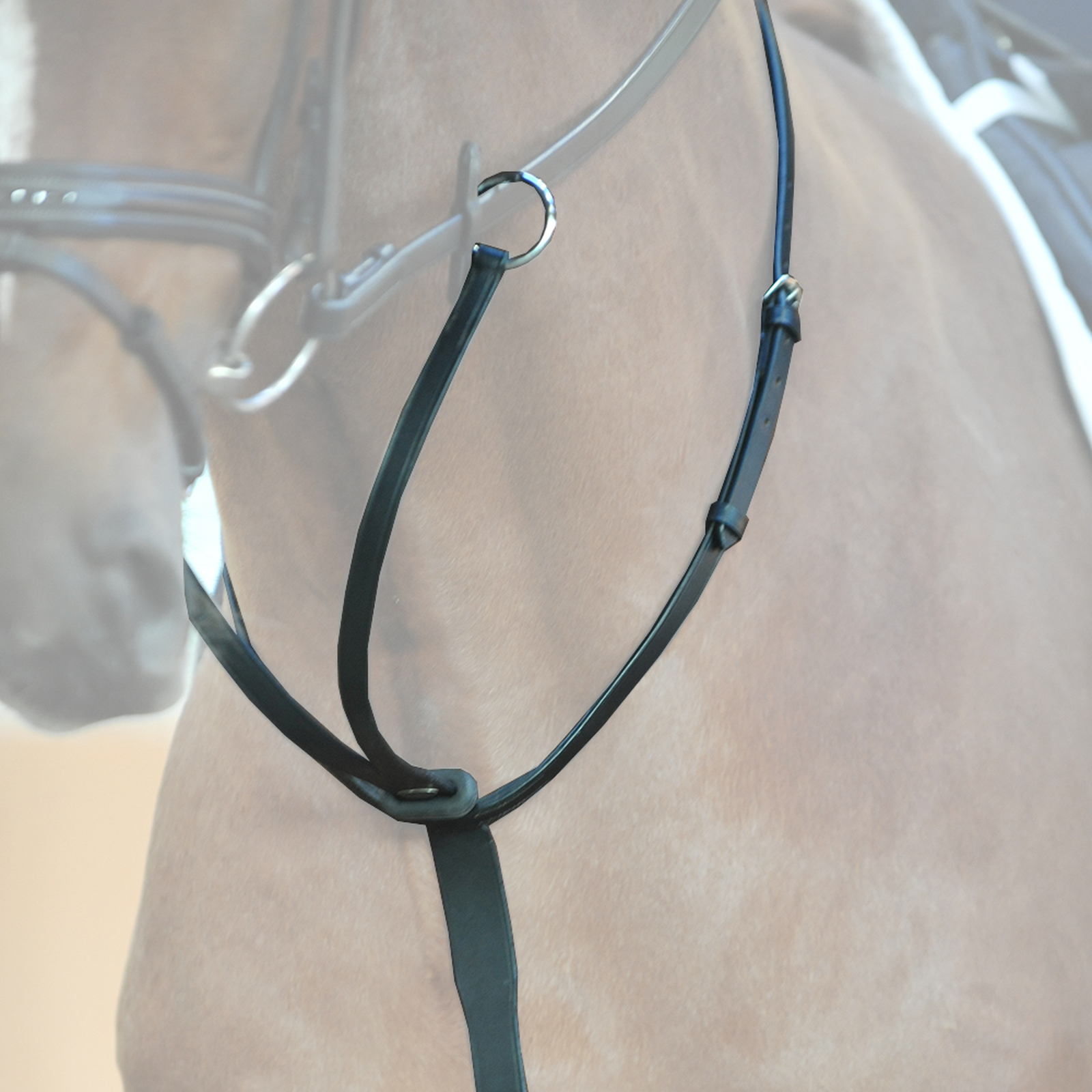 Kavalkade martingaali