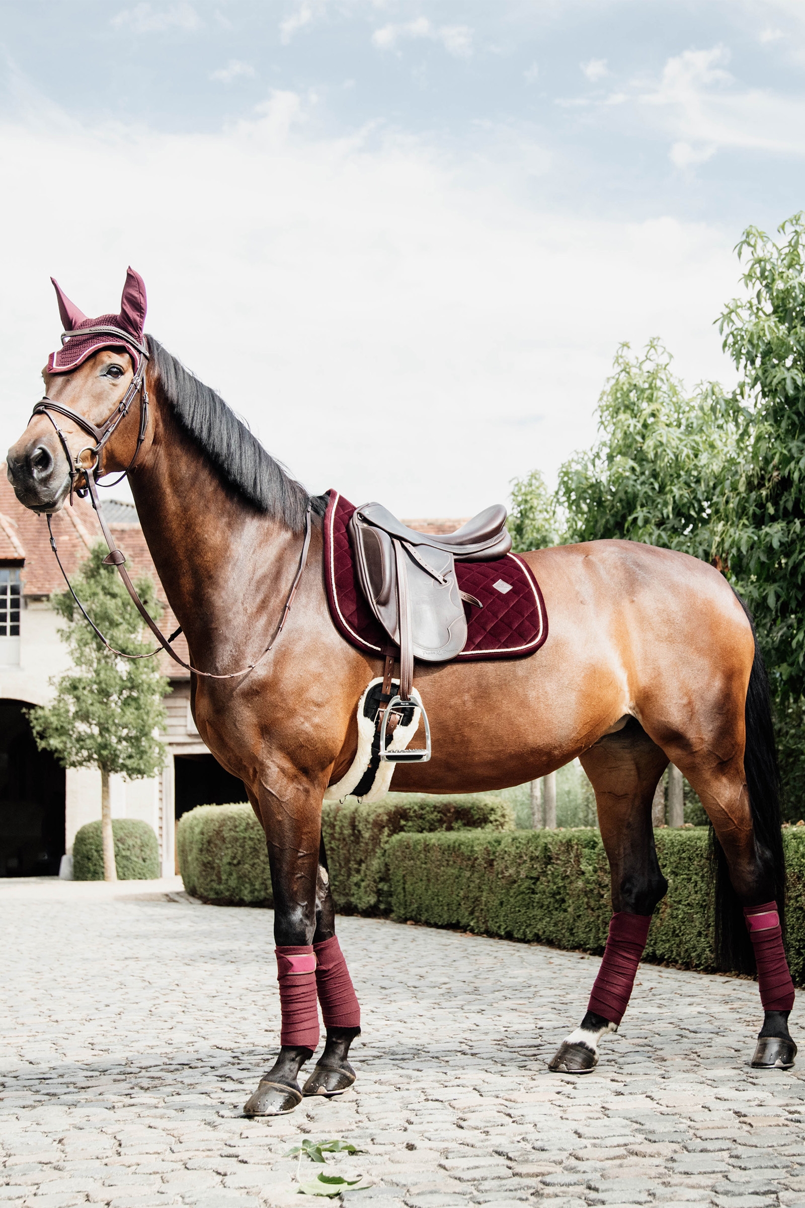 Kentucky Horsewear Polar Fleece Polos