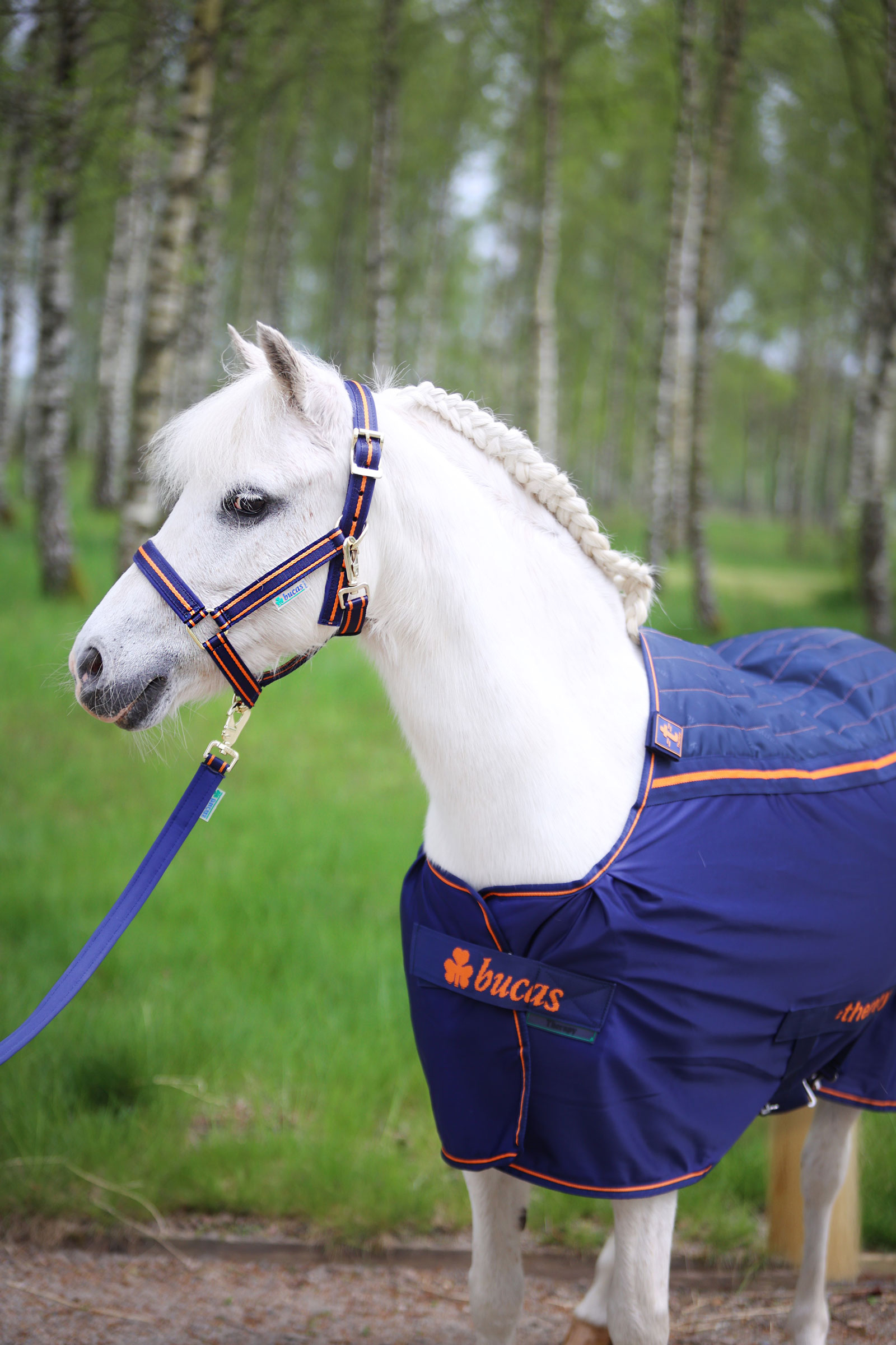 Bucas Therapy viilennysloimi ponille, 0 g