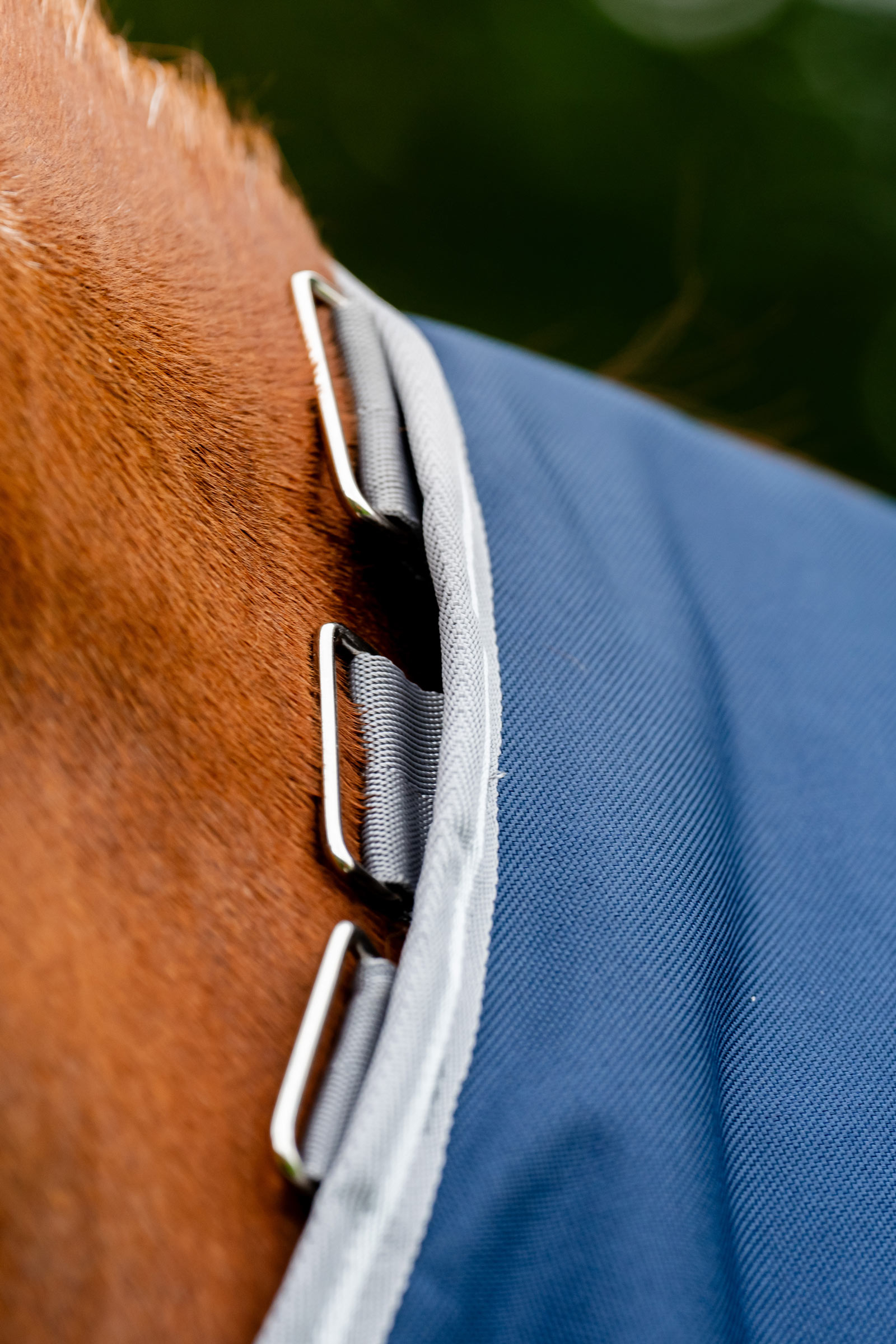 Horseware Amigo 1200D ulkoloimi, 250 g