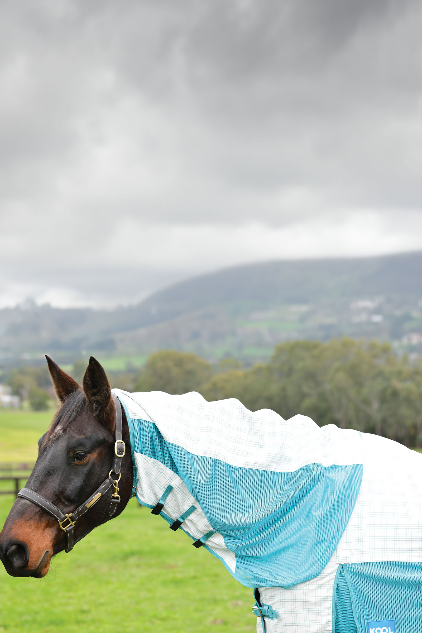 Weatherbeeta Kool Coat Puuvilla Airstream Ii Detach-A-Neck