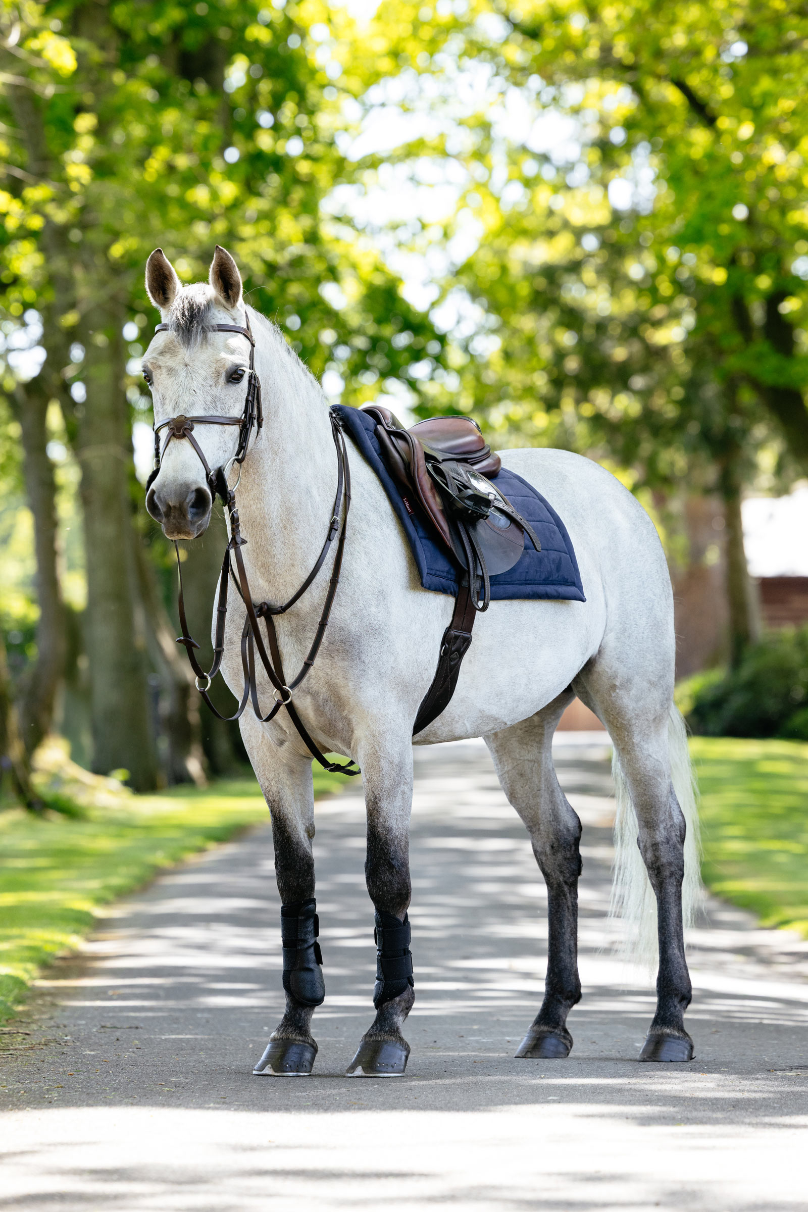 LeMieux Pillow pehmustettu satulahuopa yleisneliö