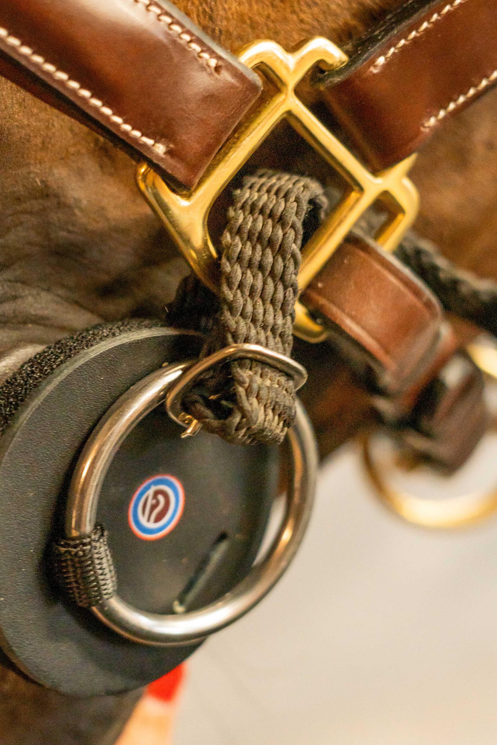 Trust Equestrian Sponge Bit