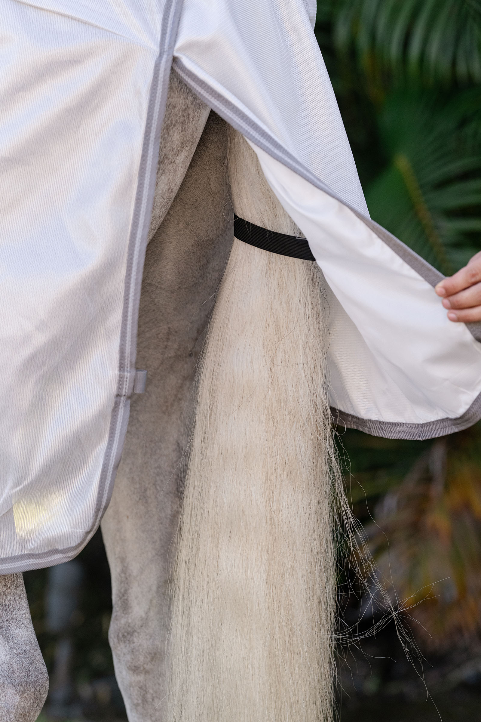 Horseware Amigo Yhdistetty Ötökkäloimi