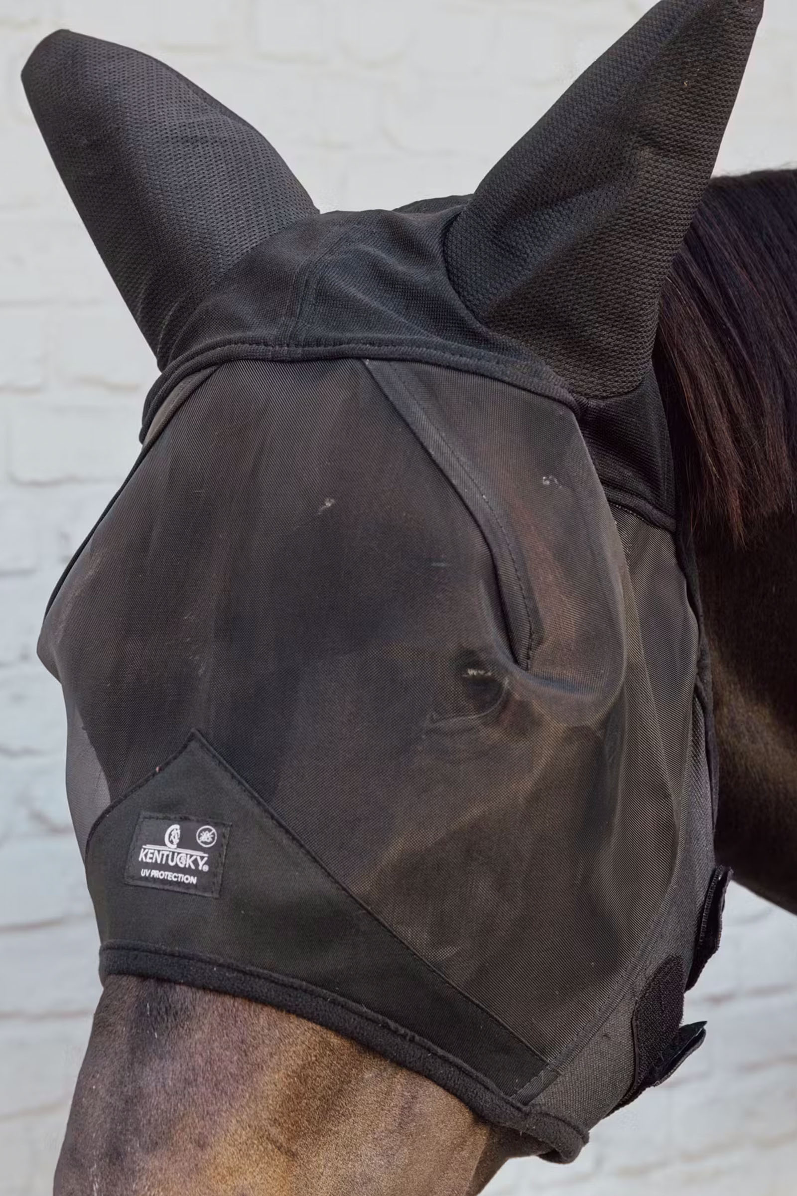 Kentucky Horsewear k&auml;rp&auml;ssuoja &auml;&auml;nieristetyill&auml; korvilla