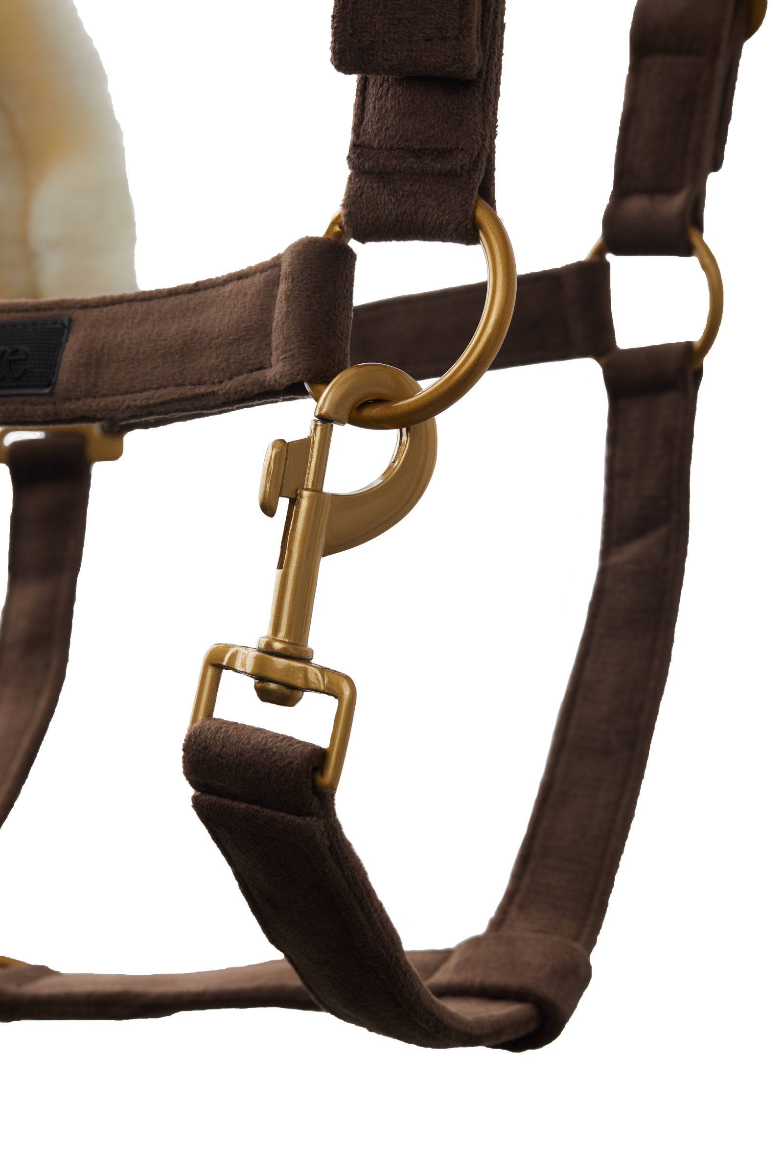 Horze St. Moritz riimu