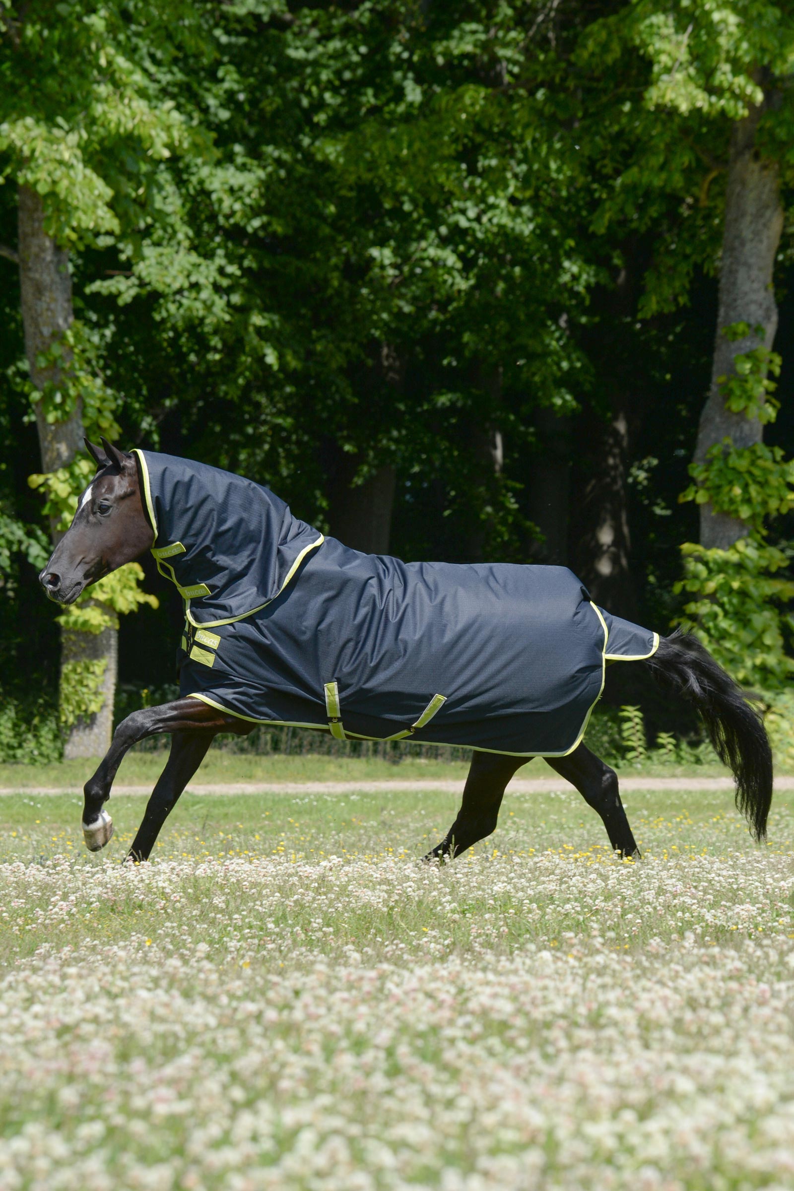 Bucas Oasis ulkoloimi + kaulakappale, 100g