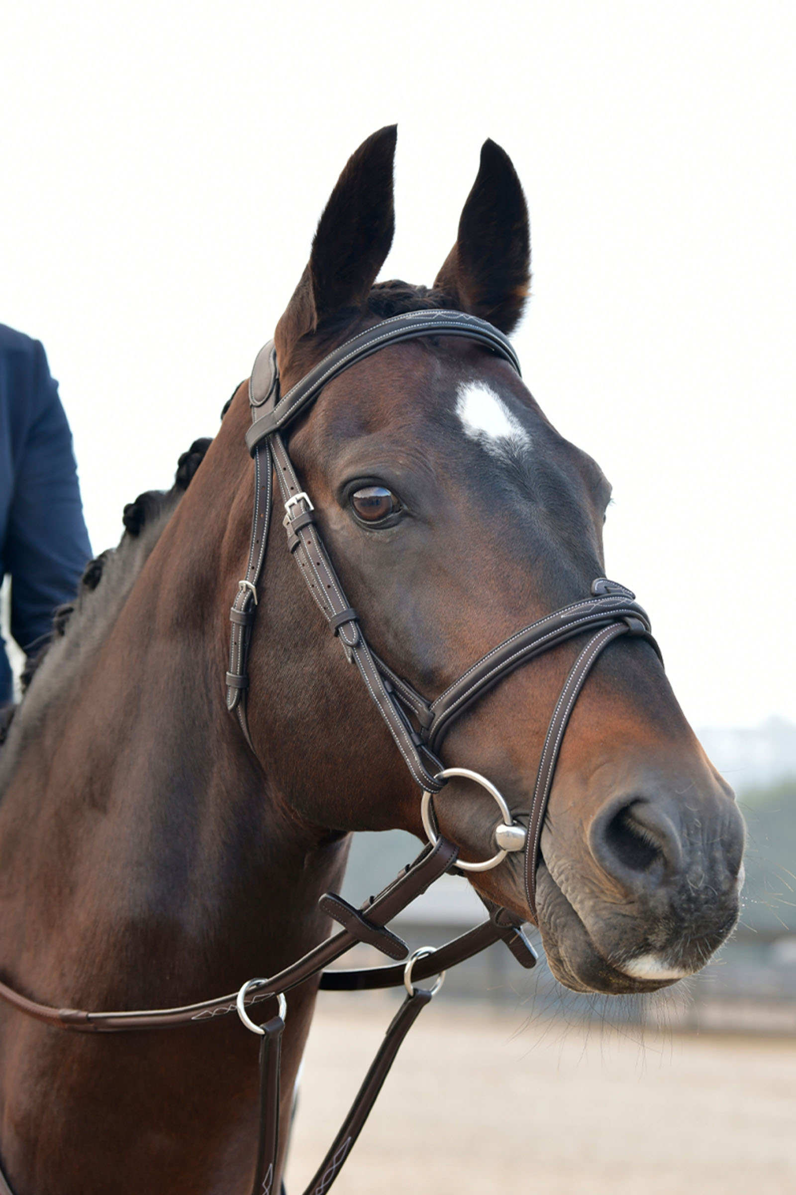 Collegiate Comfitec Opulux Fancy Stitch pehmustettu hannoverilainen suitsi