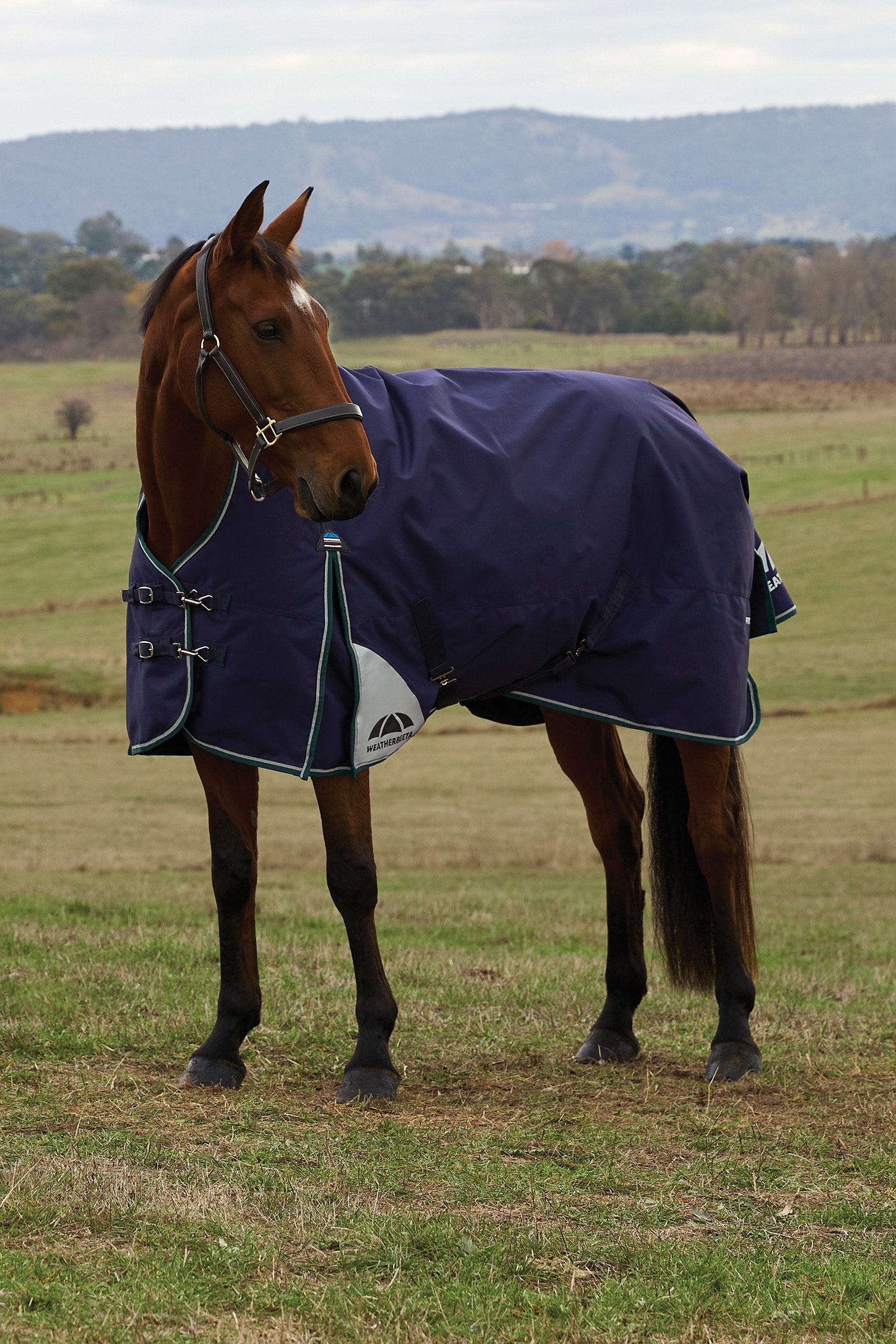 Weatherbeeta ComFiTecPlus Dynamic ulkoloimi korkealla kaula-aukolla 100 g