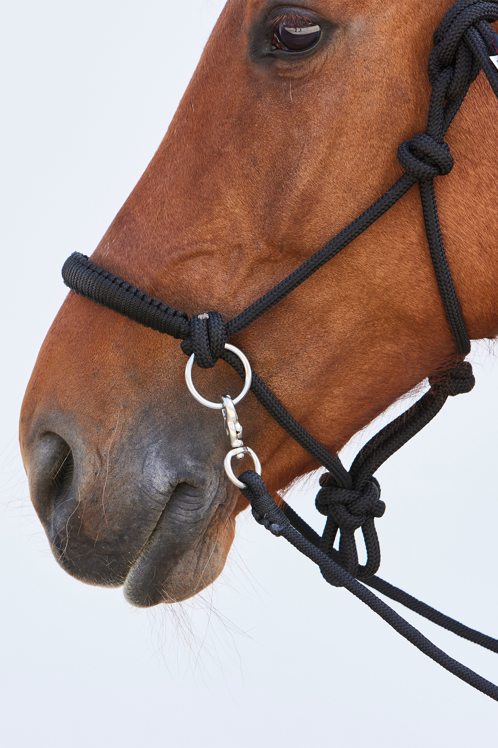 Kieffer Ruby naruriimu