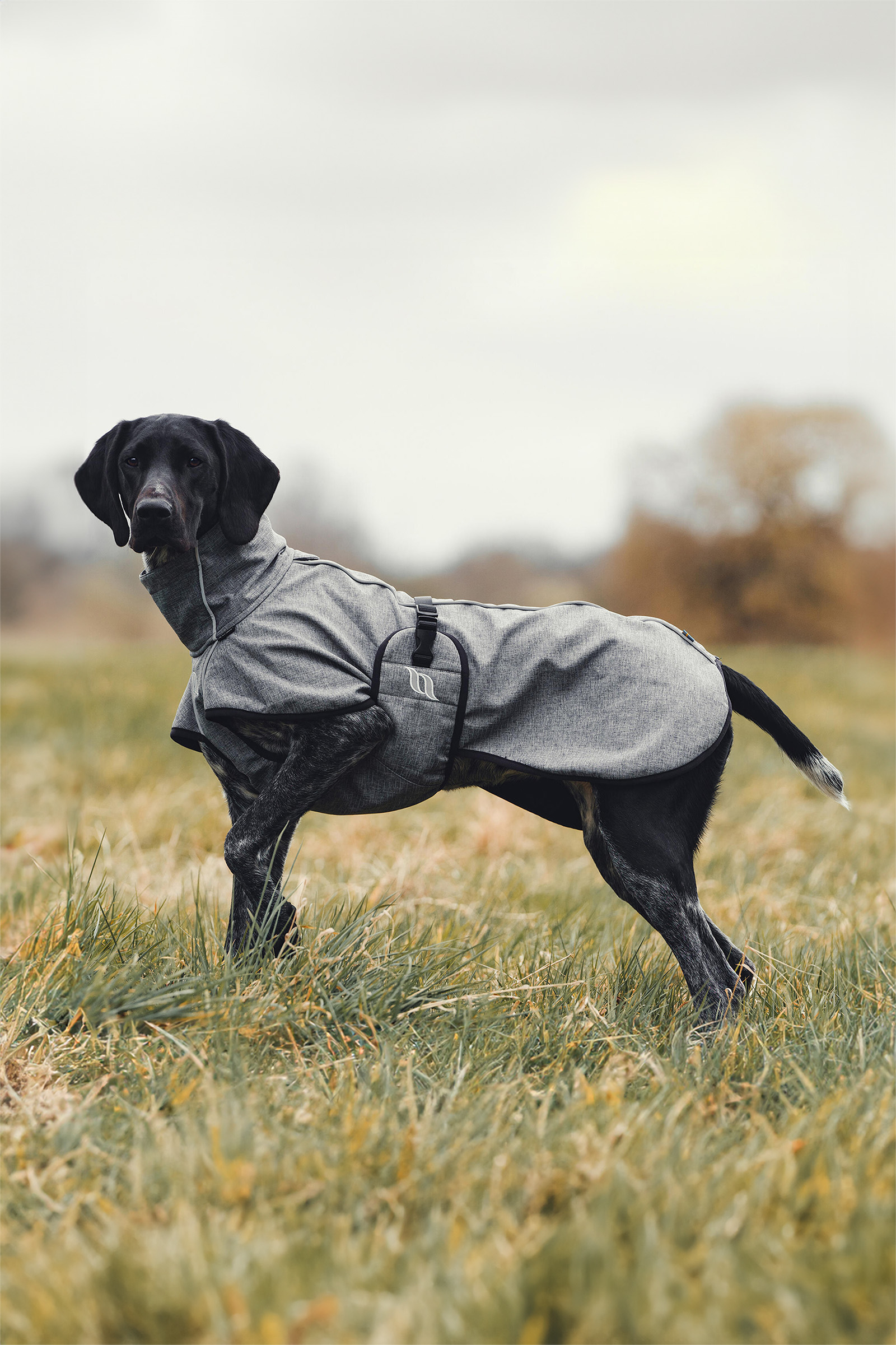 Back on Track Bark All-Round Dog Coat, 40-50cm