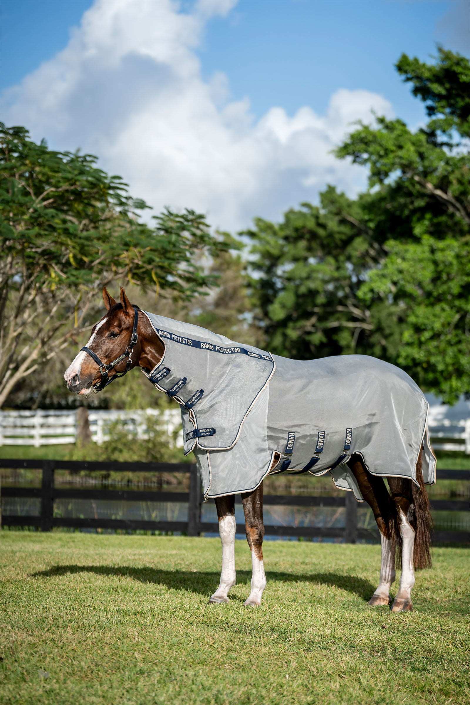 Horseware Rambo Protector Fieldsafe Plus loimi