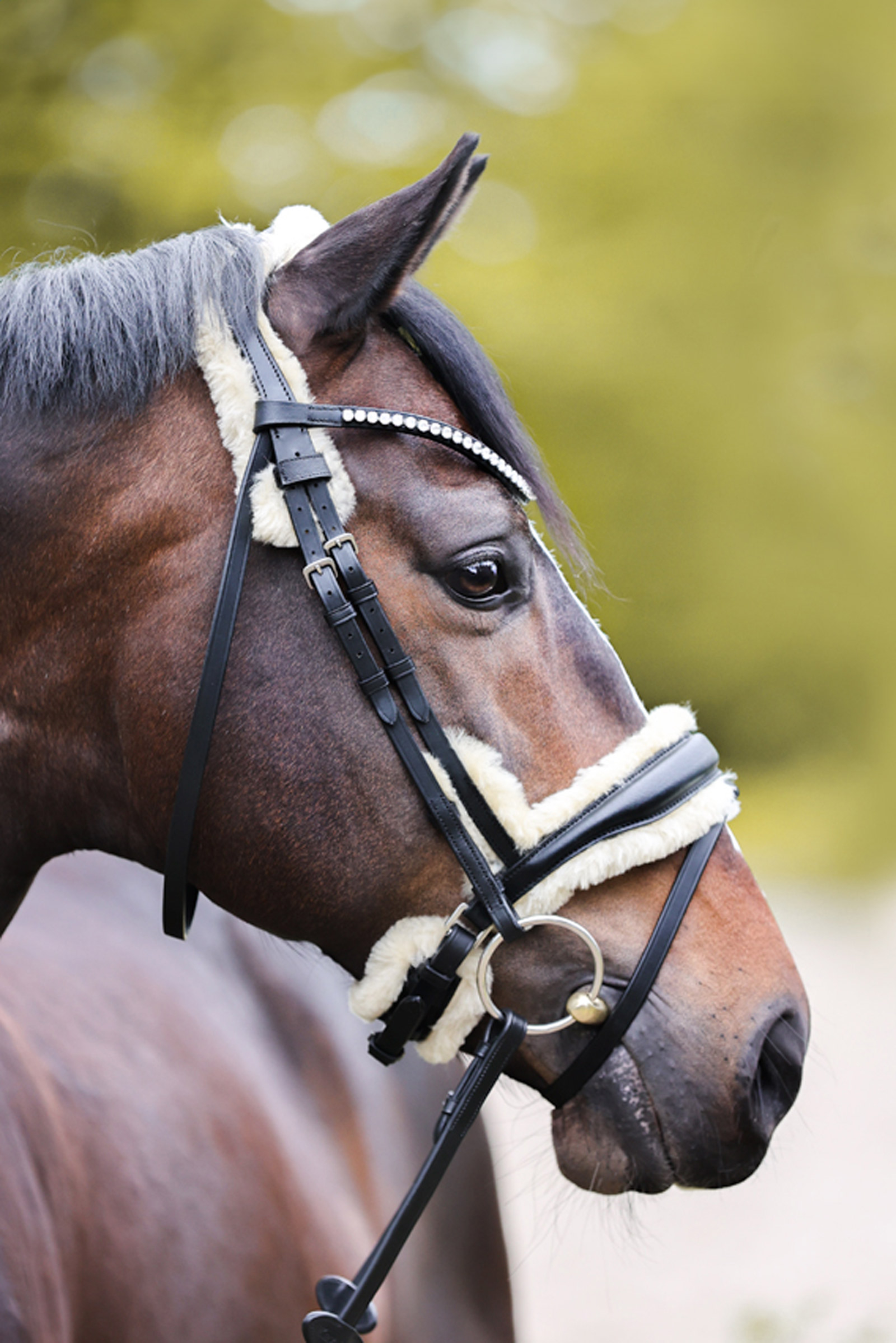 Kavalkade Joyce KavalSH4 Bridle