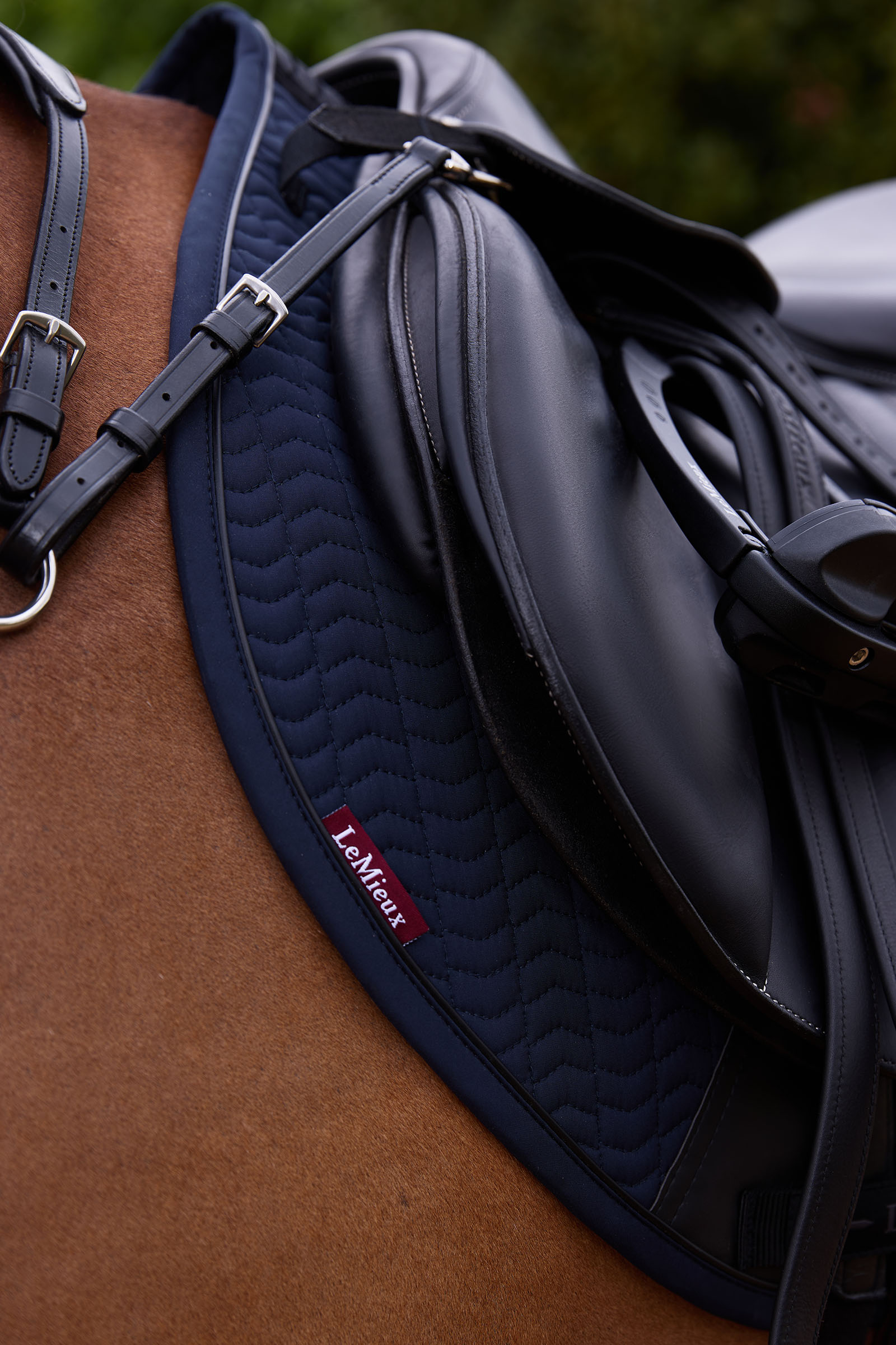 LeMieux Essence Eurojump este satulahuopa