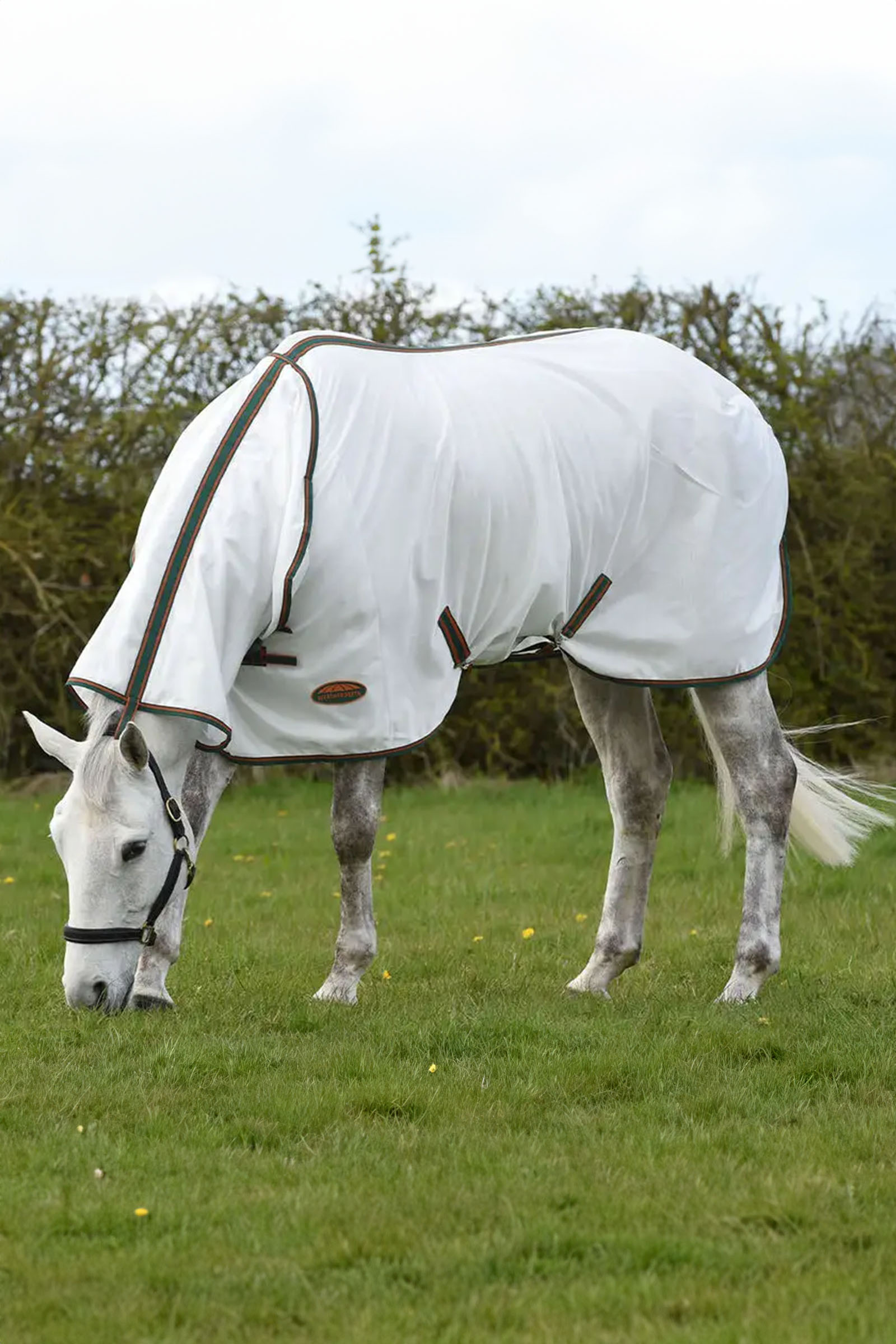 Weatherbeeta Comfitec Tyro verkkoloimi kaulakappaleella
