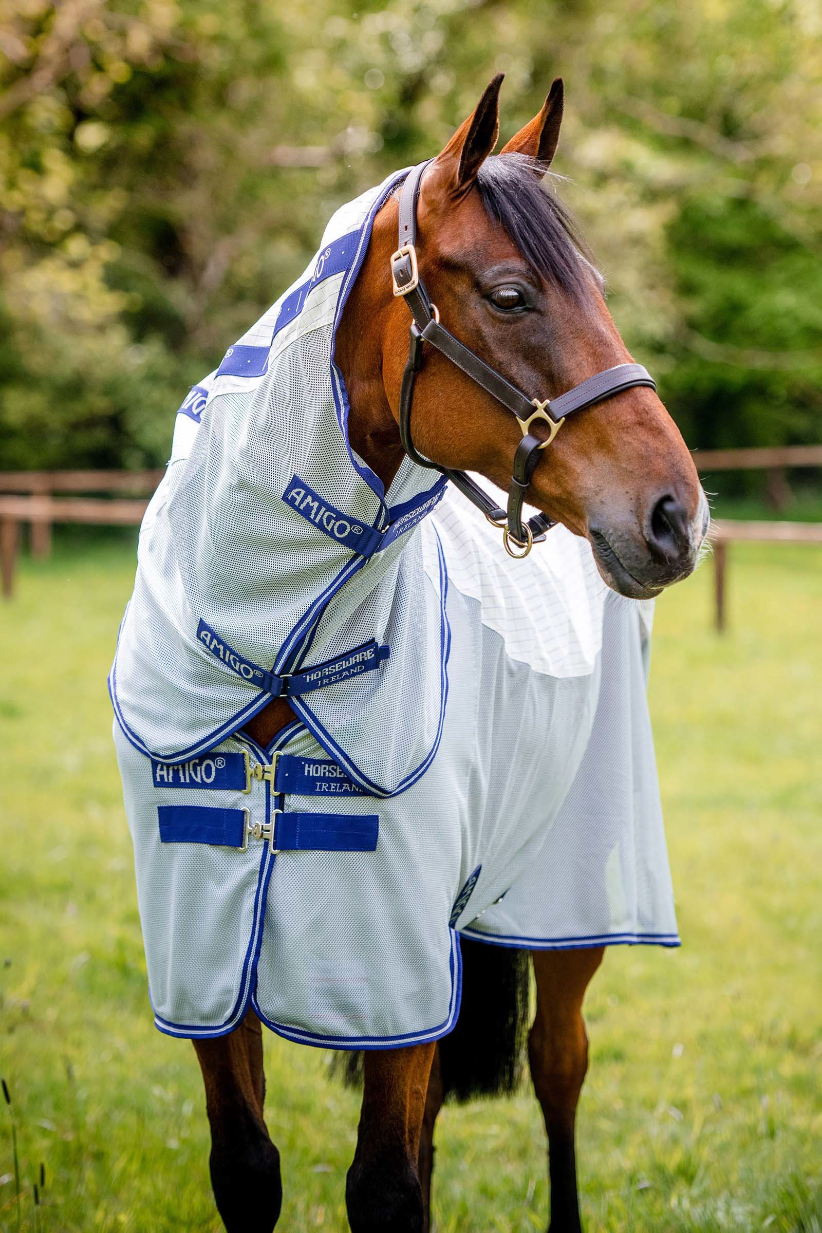 Horseware Amigo Airflow hy&ouml;nteisloimi irrotettavalla kaulaosalla