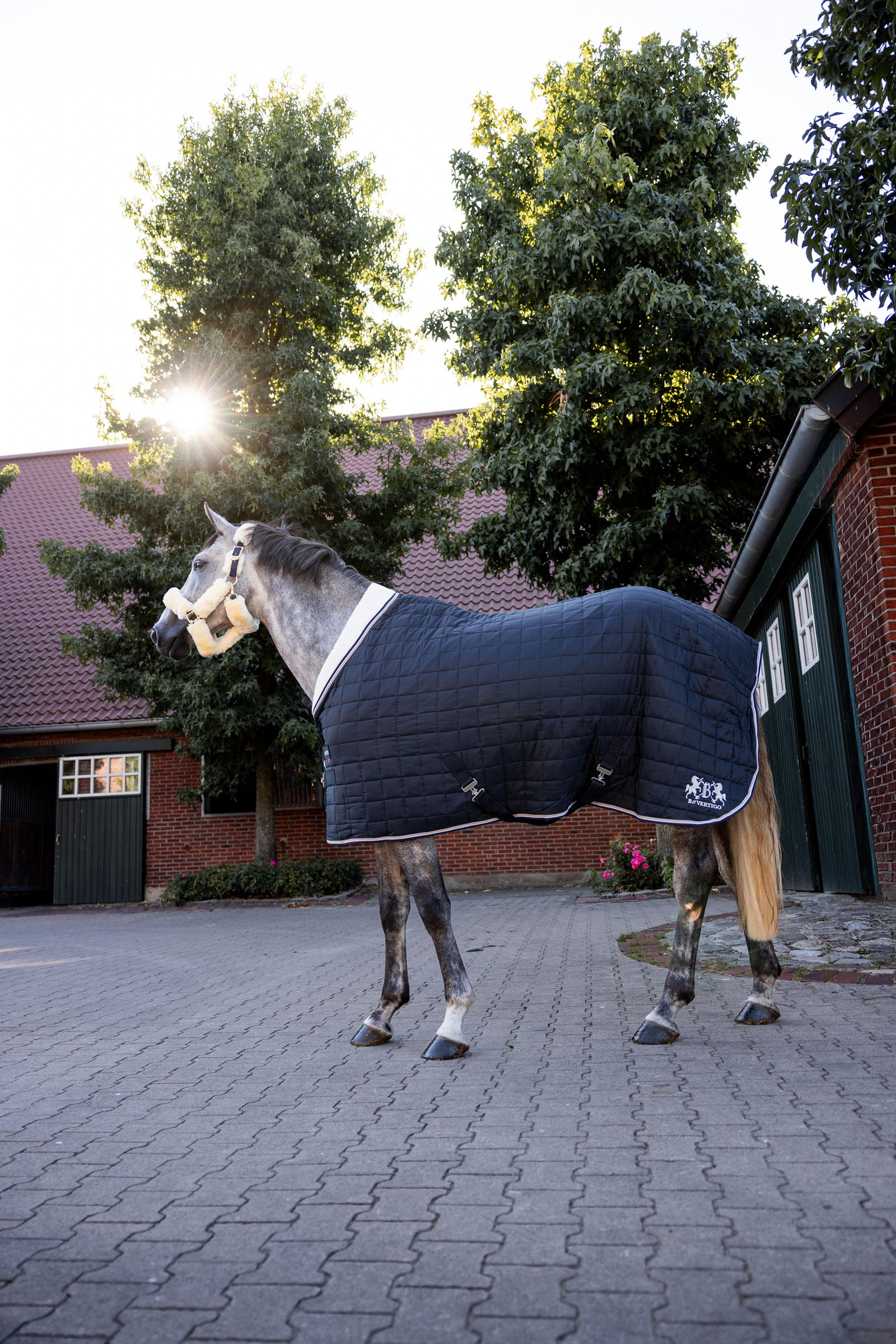 B Vertigo Theo talliloimi, 150 g