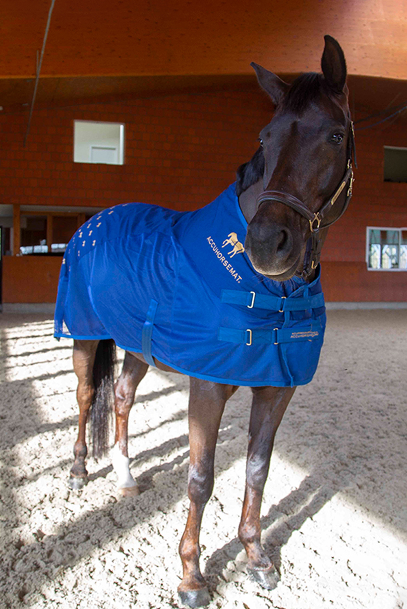 Accuhorsemat Cooler kuivatusloimi