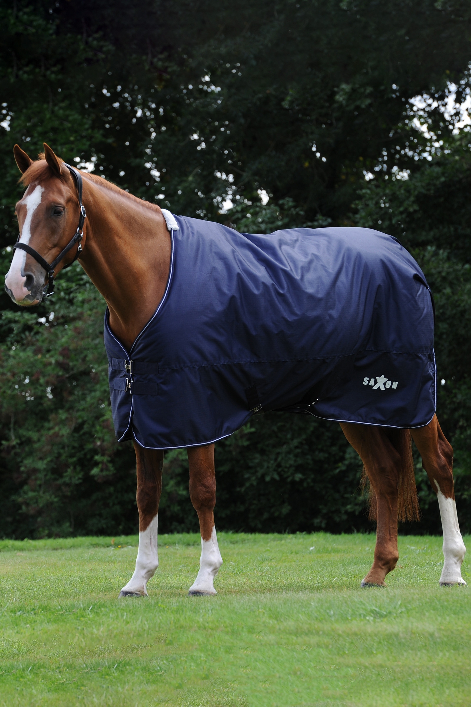 Saxon Defiant 600D Medium Turnout Rug, 200g