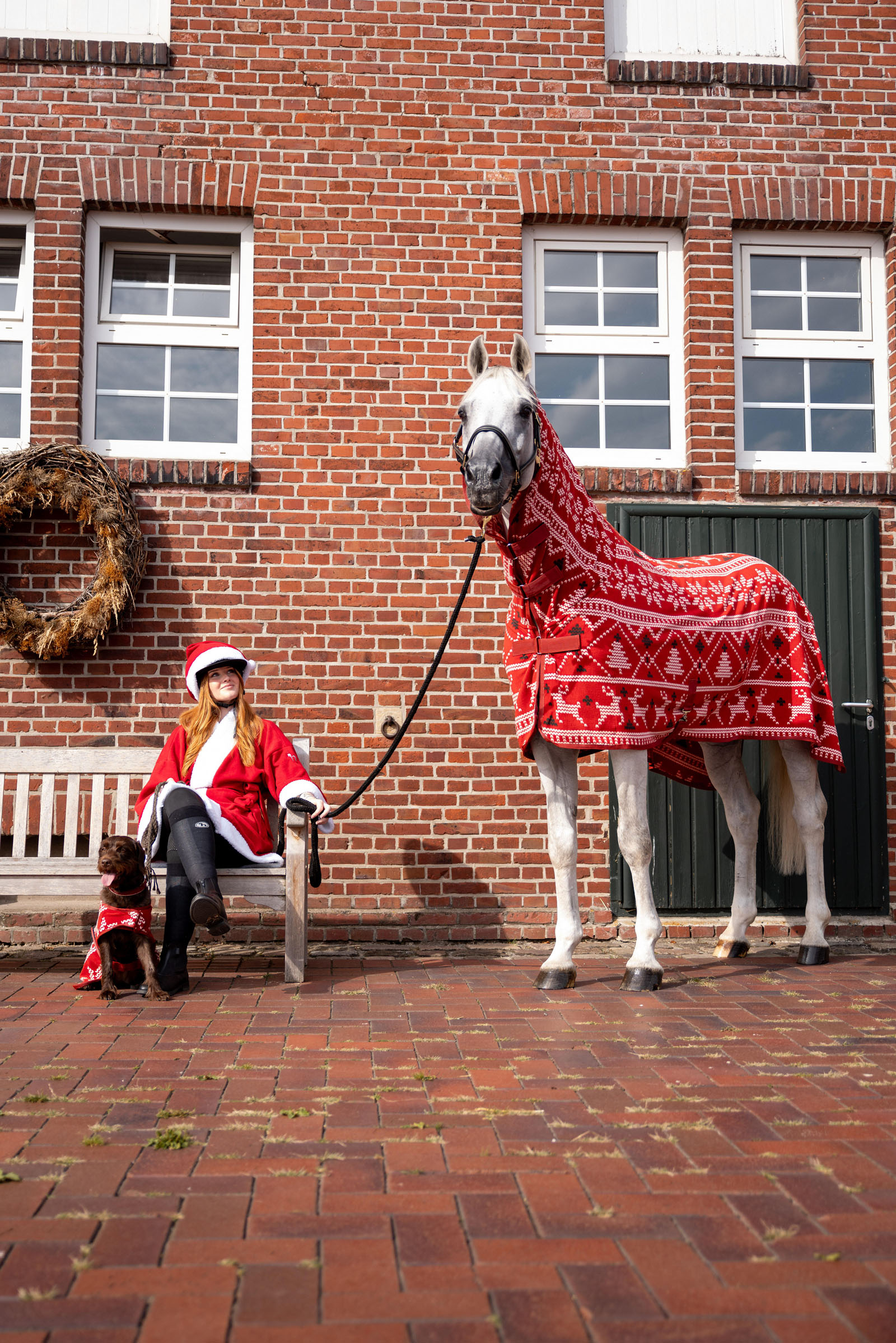 Horze jouluneule hevosille