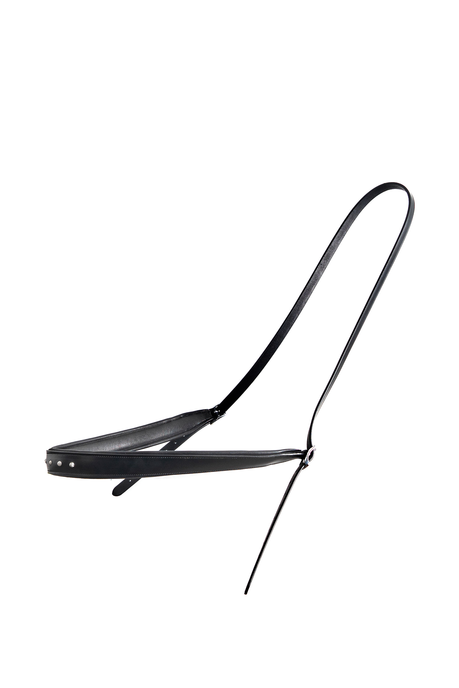 F.R.A. Freedom Riding Articles Glory kaulanaru (System 1)