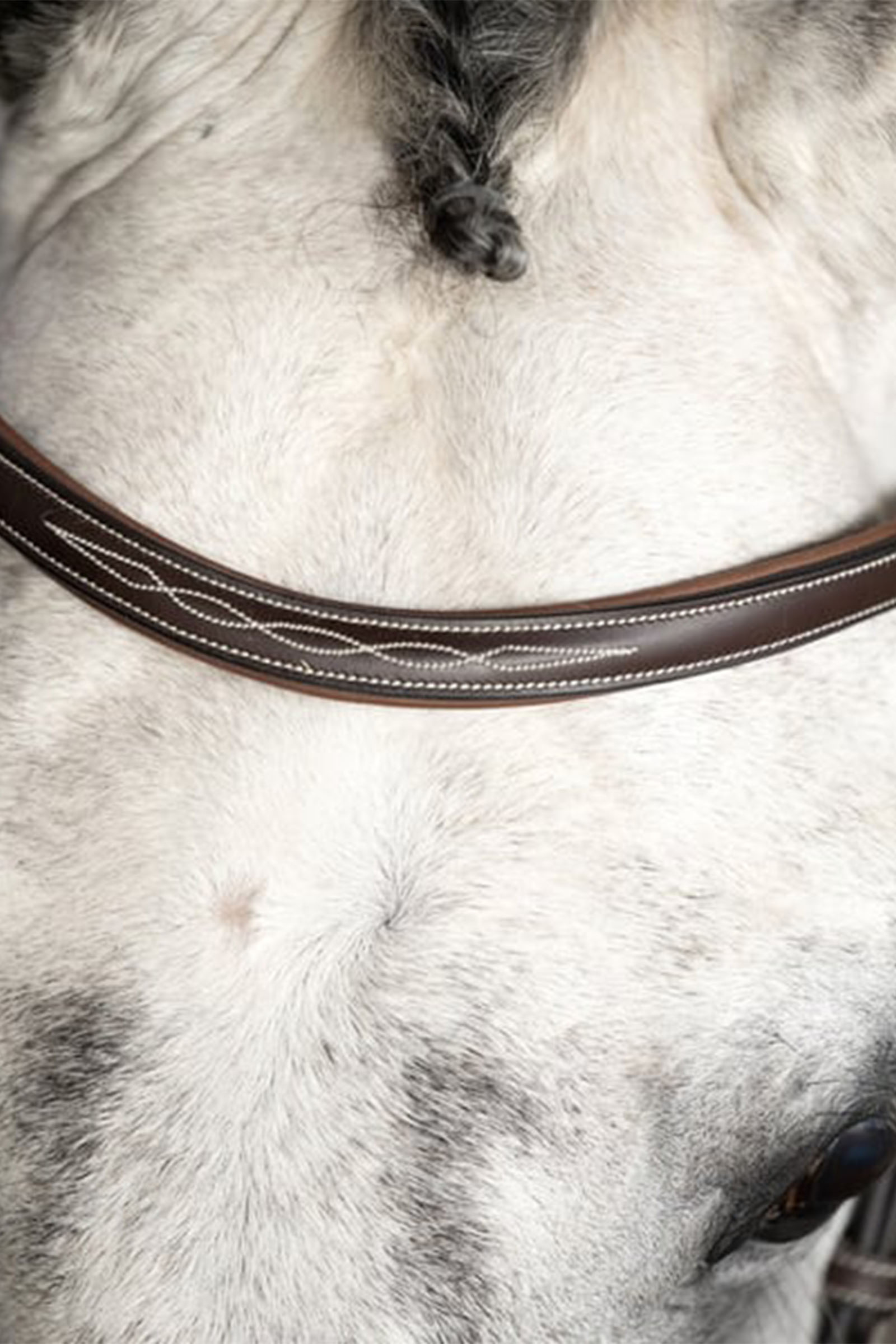 PS of Sweden Ocala suitset