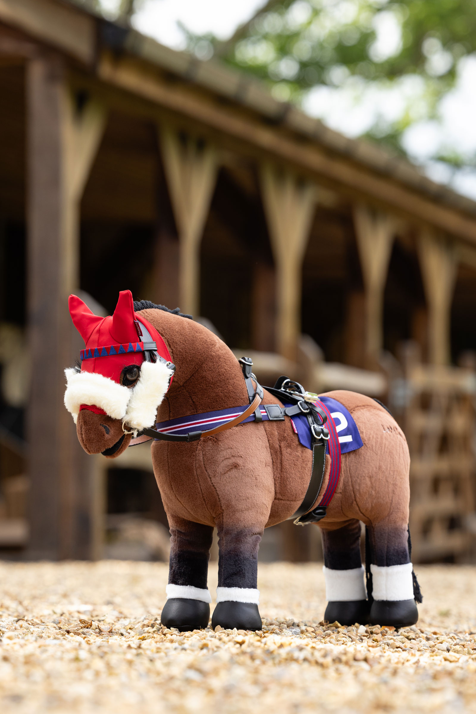 LeMieux Toy Pony kilpasatula ja rintaremmi setti