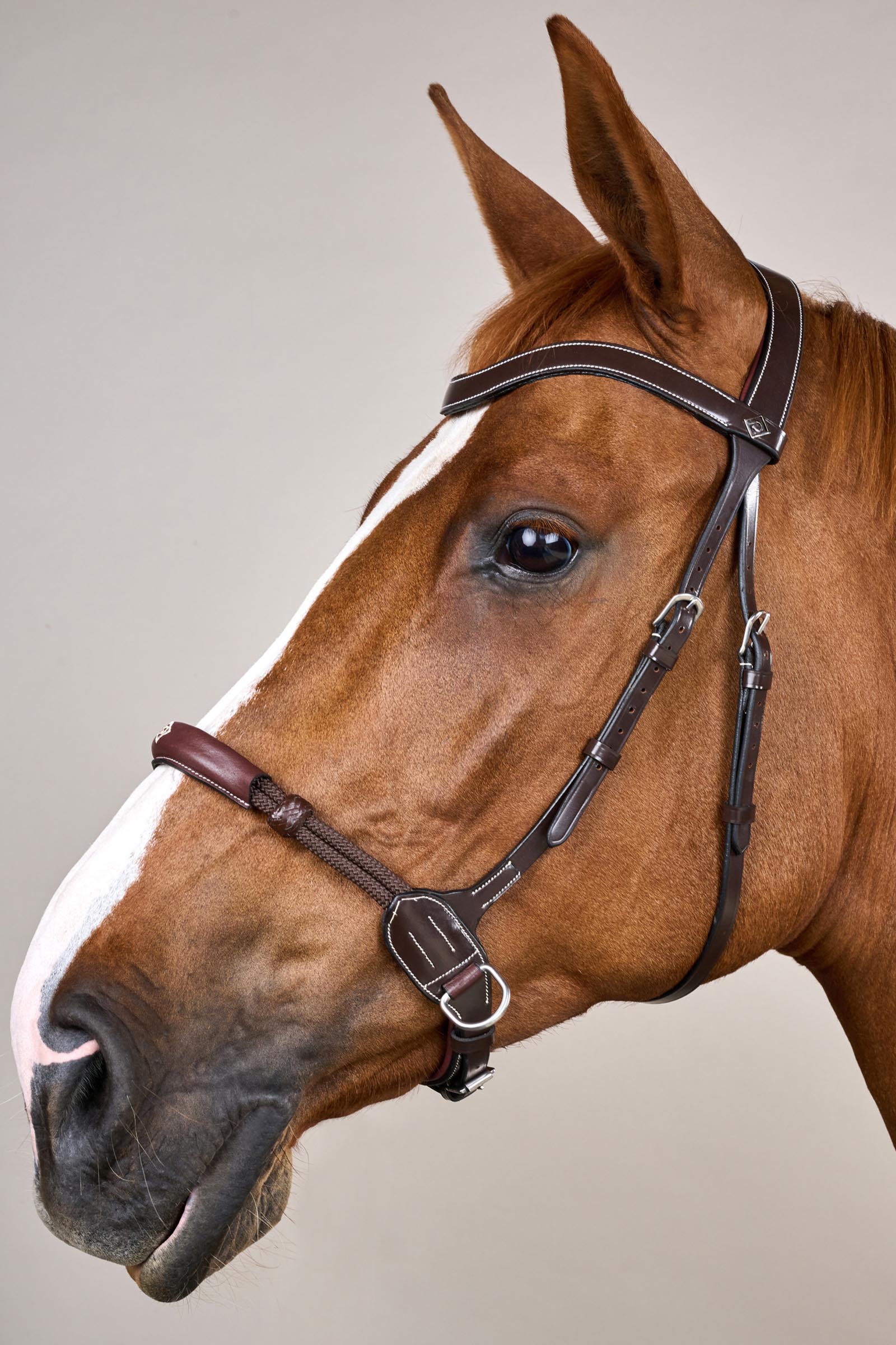 Dy'on Working kuolaimeton suitset  