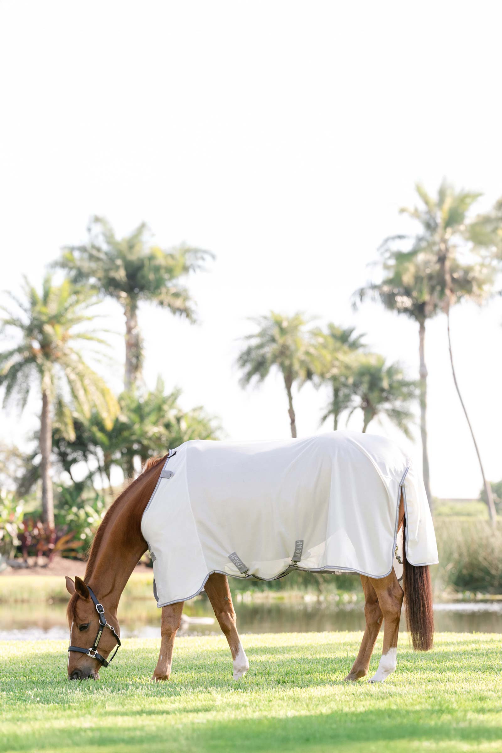 Horseware Amigo hy&ouml;nteisloimi UV-suojalla