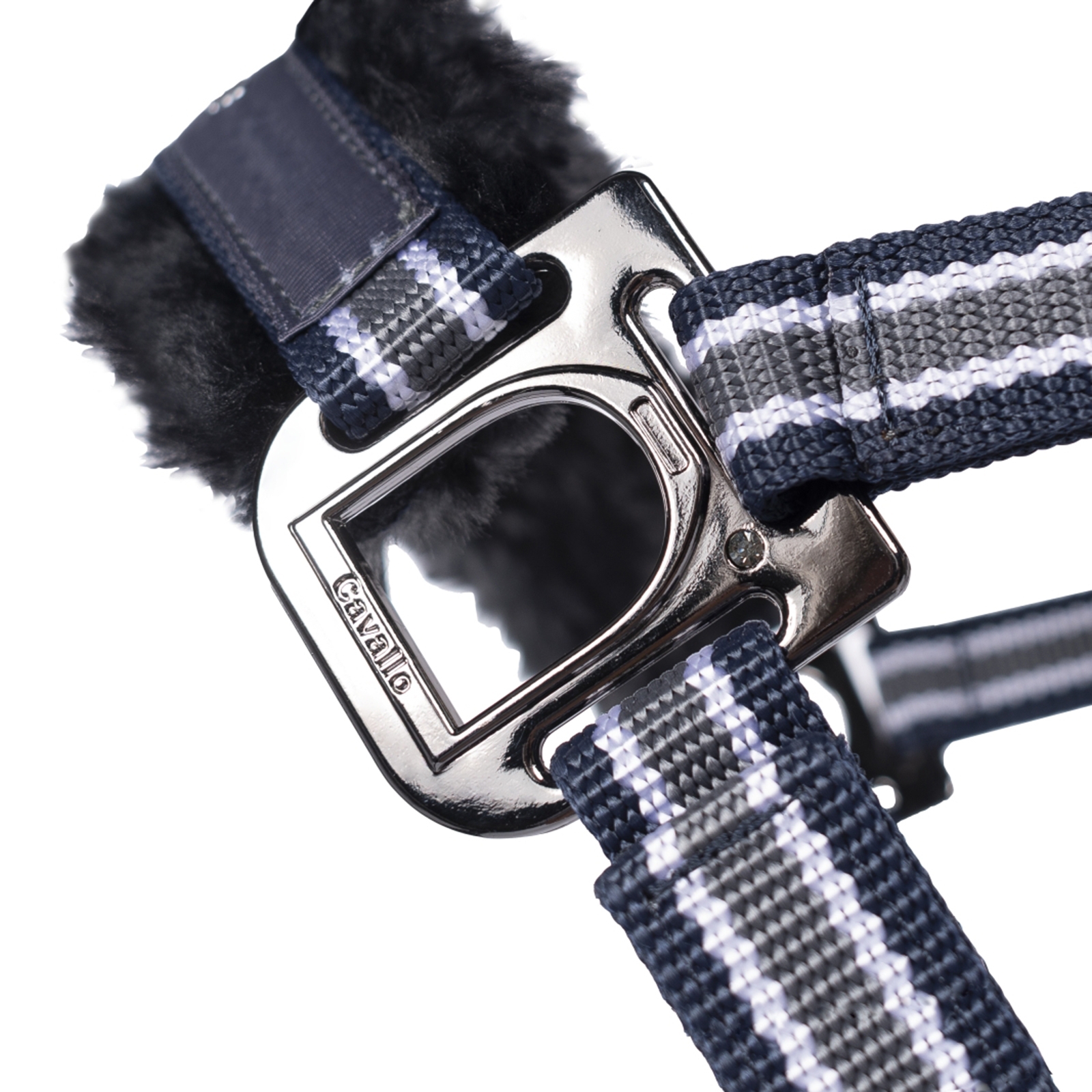 Cavallo CavalHelia riimu