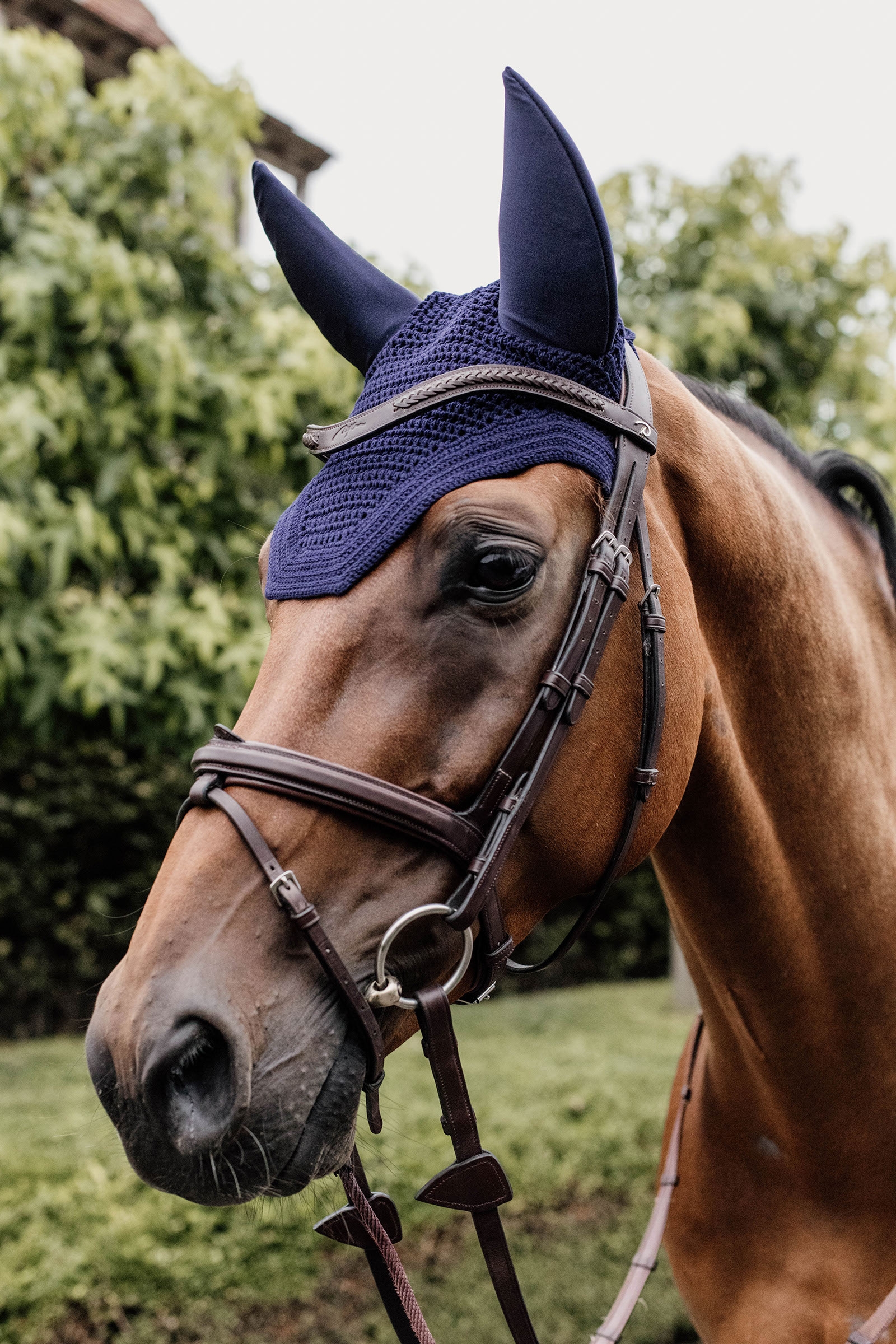 Dark Navy Kentucky Horsewear Wellington k&auml;rp&auml;shuppu, &auml;&auml;nt&auml; vaimentava  